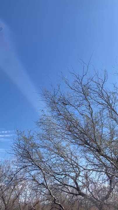 San Pedro Golf Course - Vocal Roadrunner - Golf Near Me - Benson, Arizona