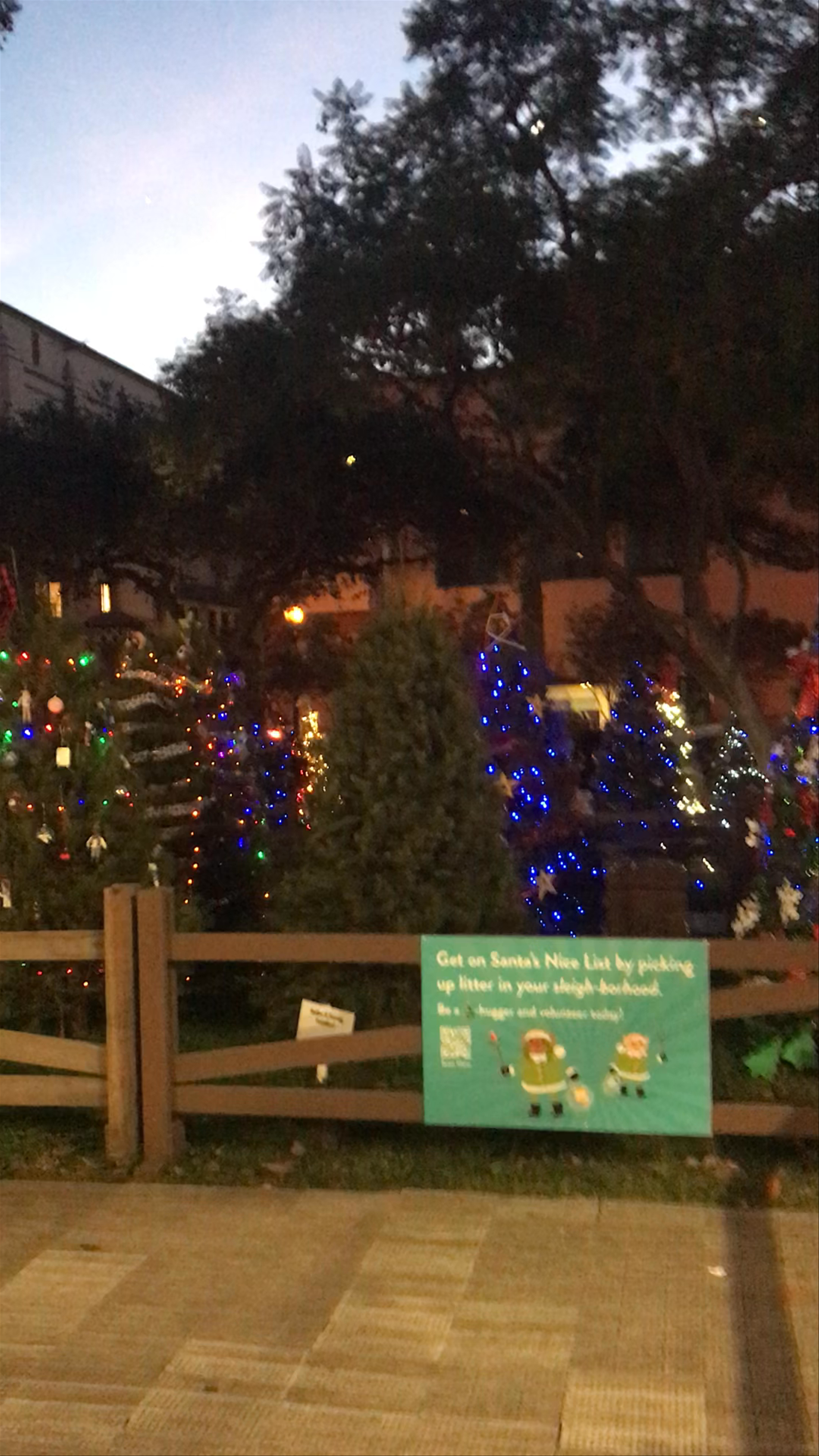 Christmas In The Park: Magical Holiday Lights in San Jose, California