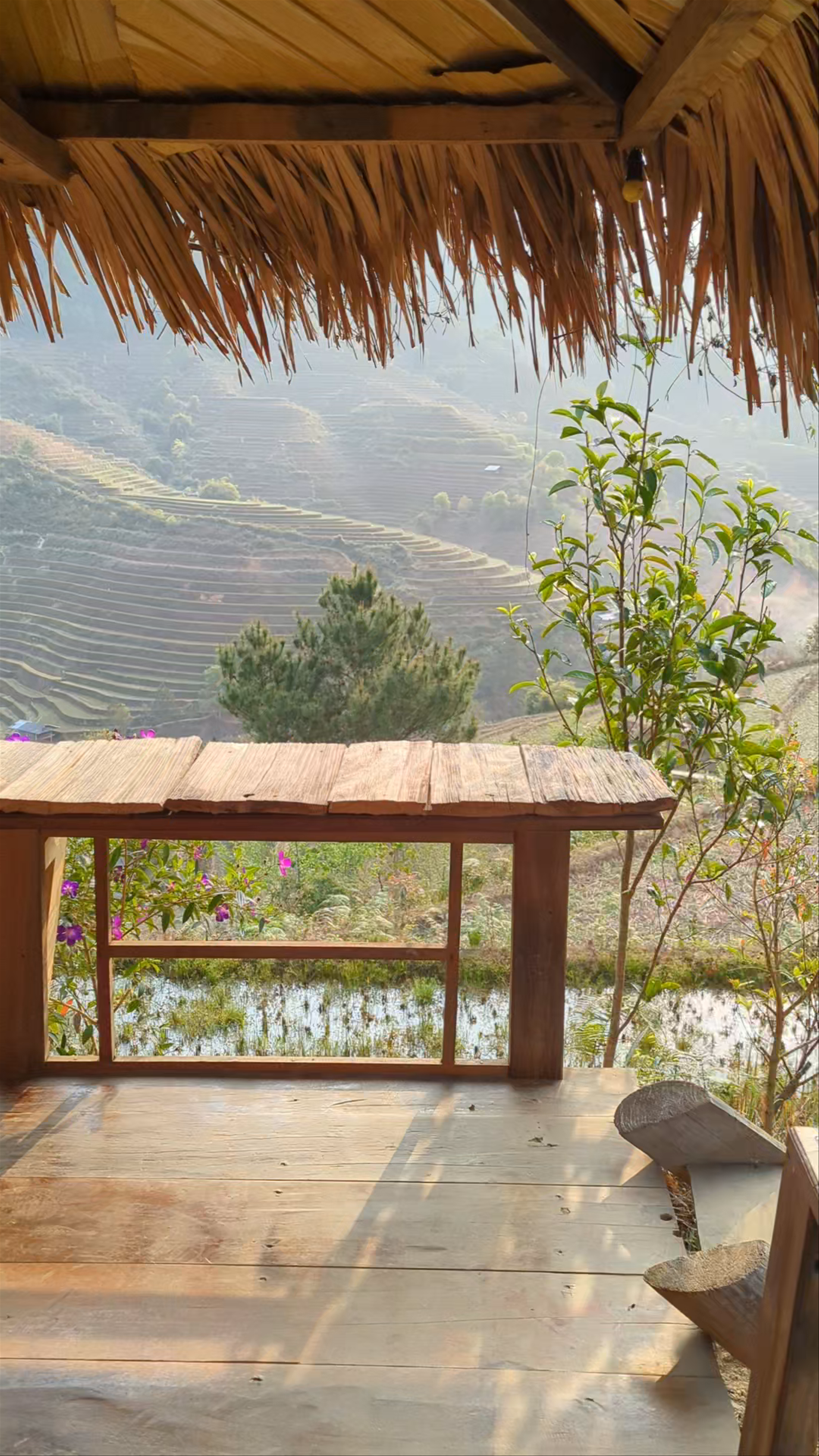 Hello Mu Cang Chai Travel - Homestay