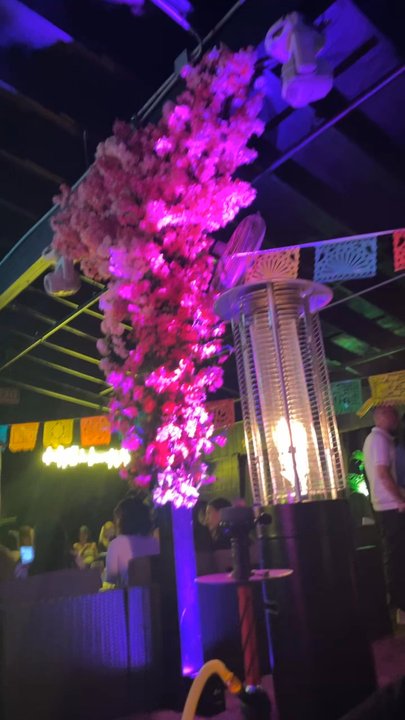 Vida Garden - Ambiance - Lounges Near Me - Englewood, New Jersey