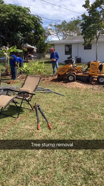 Bobmar Lawn & Tree Service - Tree Services Near Me - Miami, Florida