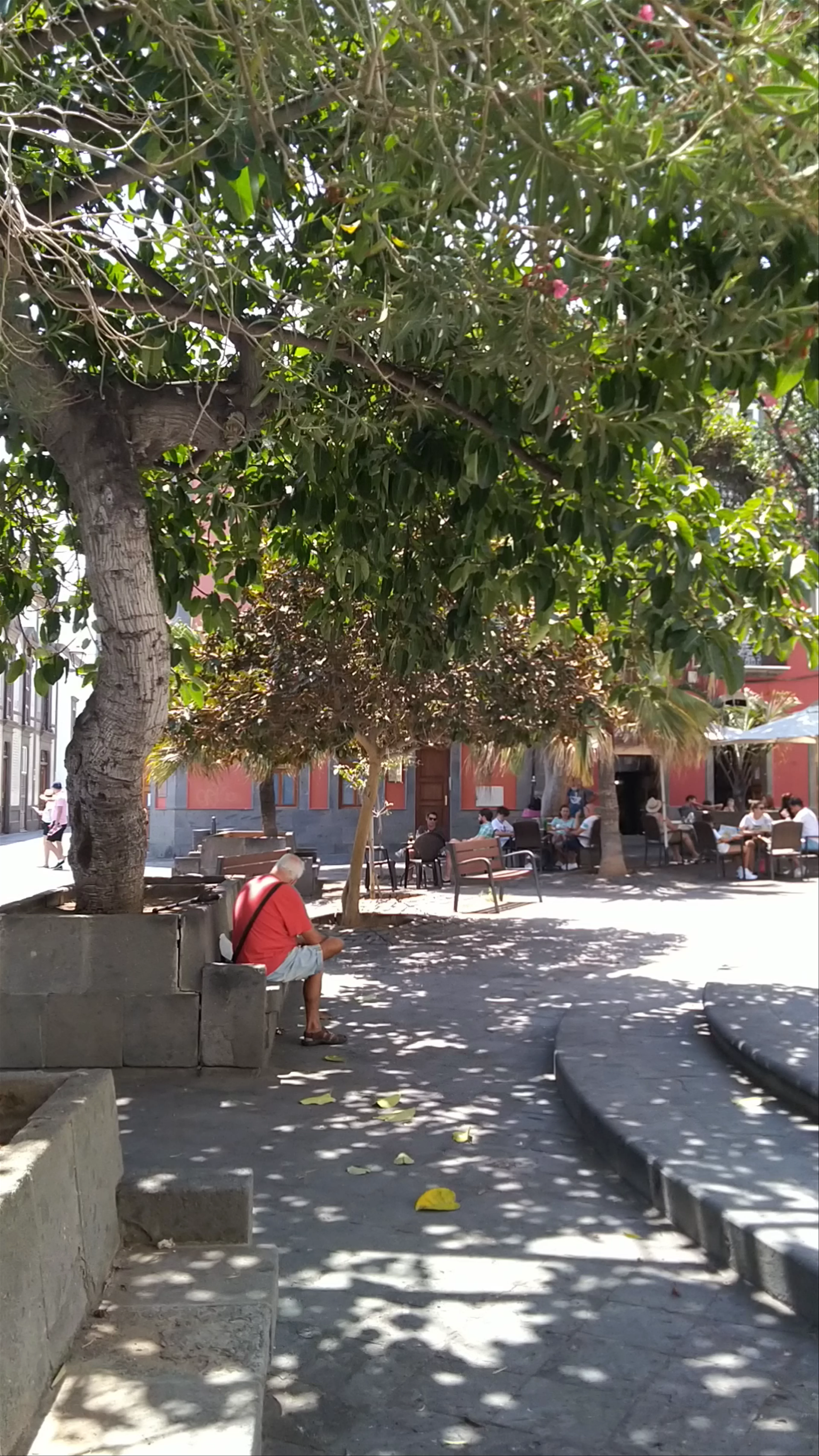 Calle Felipe Massieu Falcón, Las Palmas de Gran Canaria