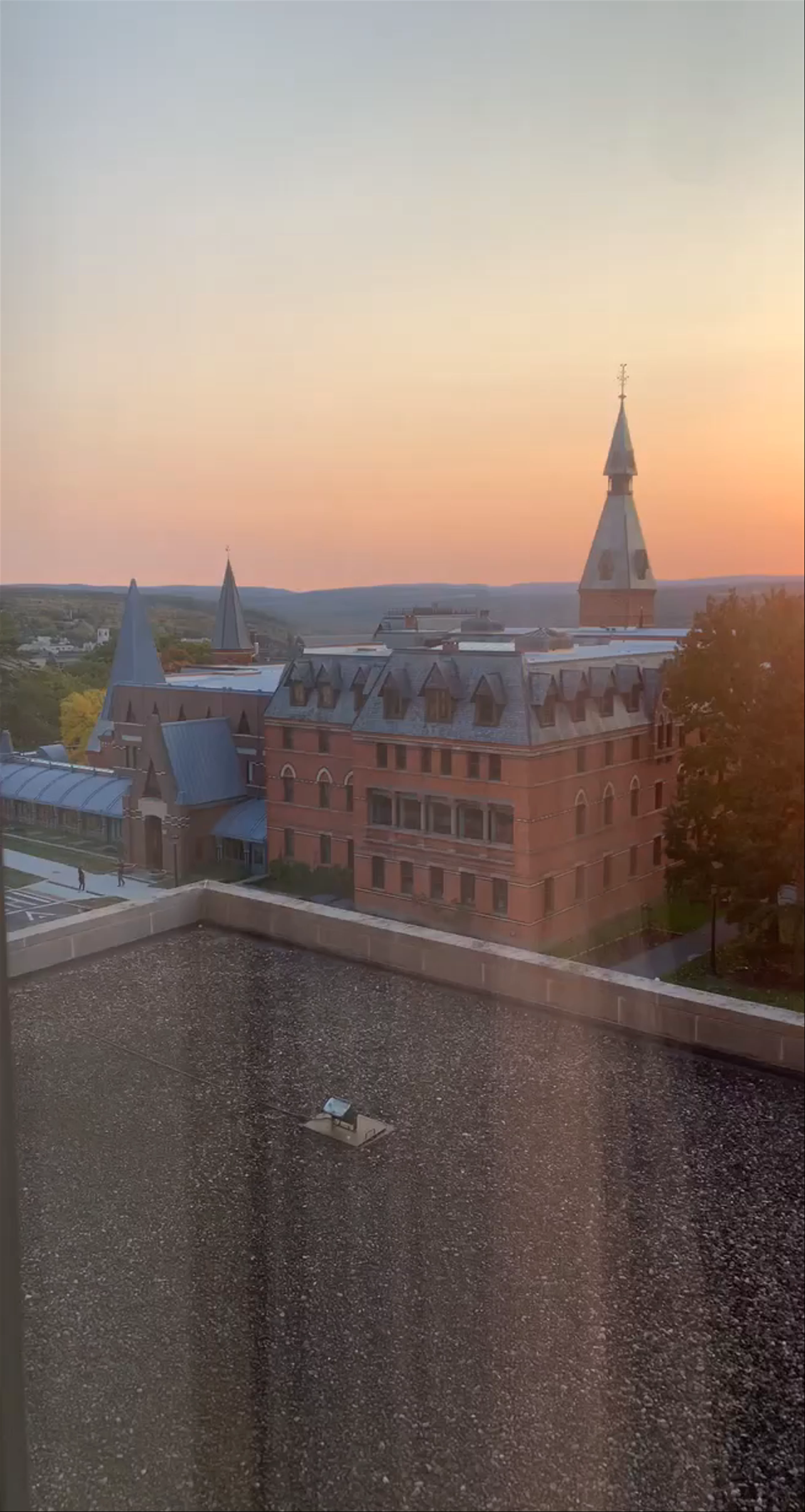 Cornell University