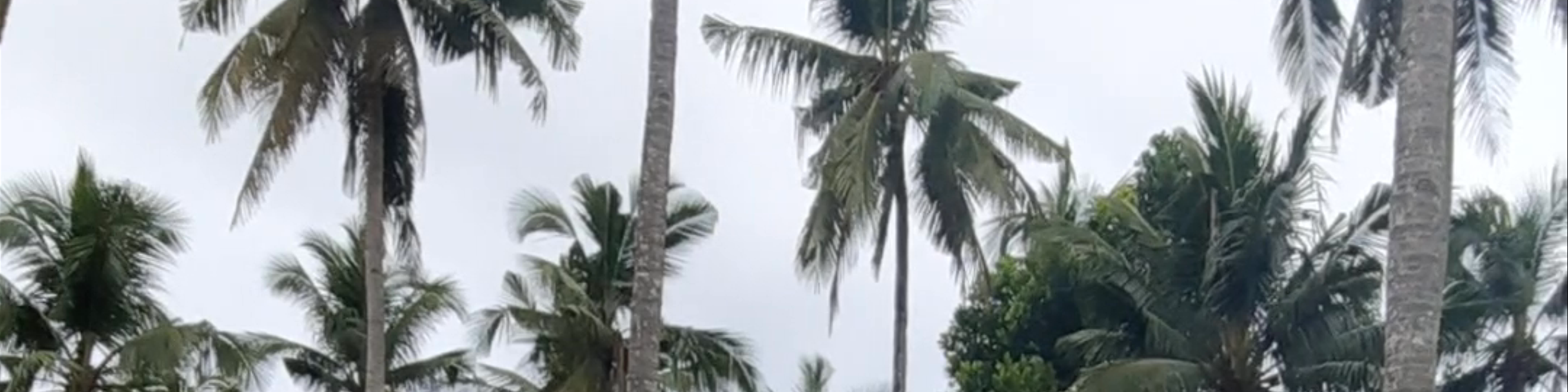 Palawan