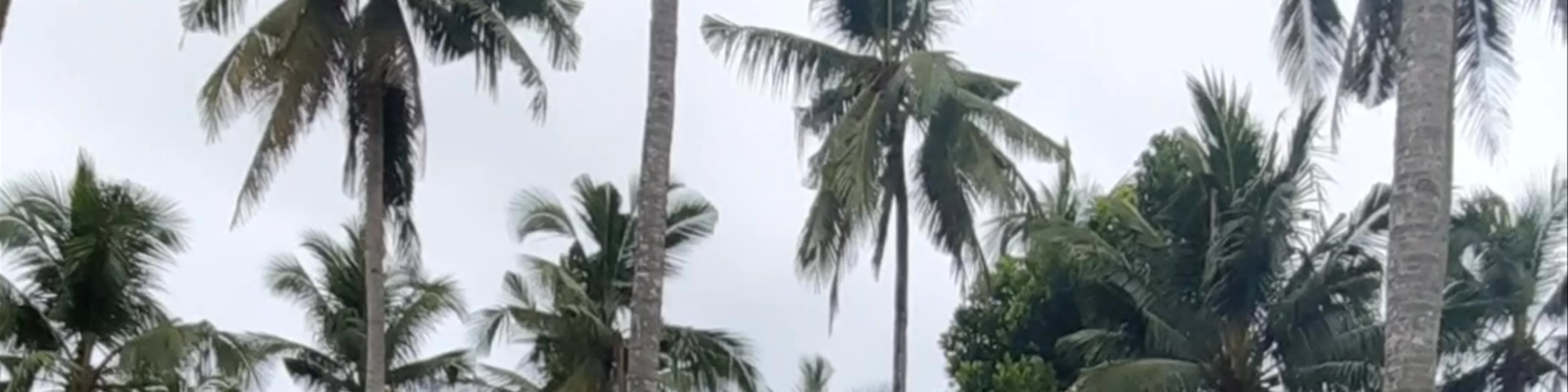 Daluyon Beach and Mountain Resort