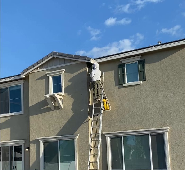 Bee Removal Pros - Safely moving the Swarm - Pest Control Near Me - Murrieta, California
