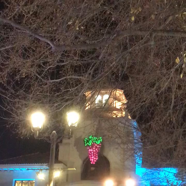 New Year's Eve Grape Drop - NYE Grape drop in turtle speed :XD - Festivals Near Me - Temecula, California