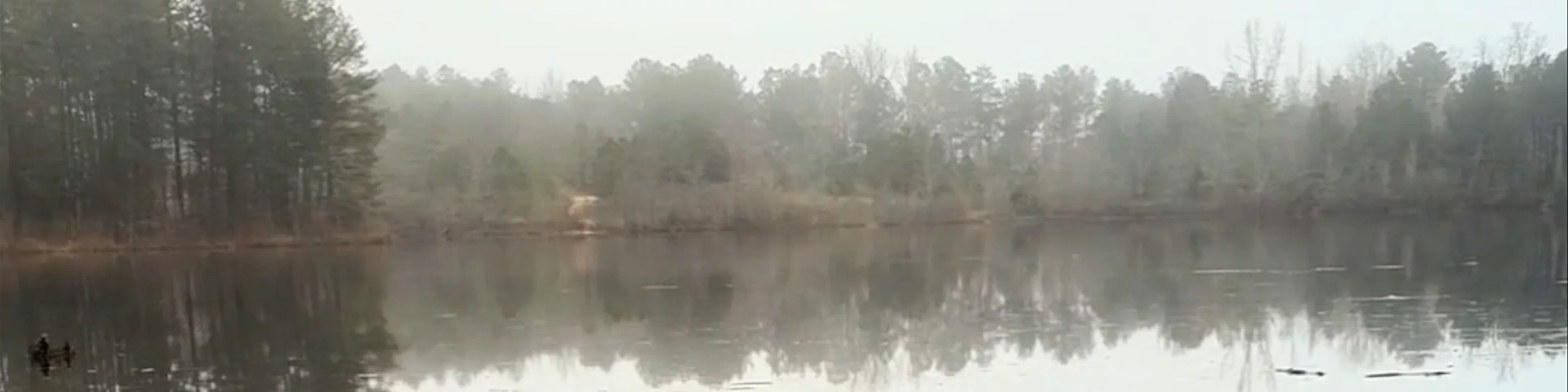 Arabia Mountain
