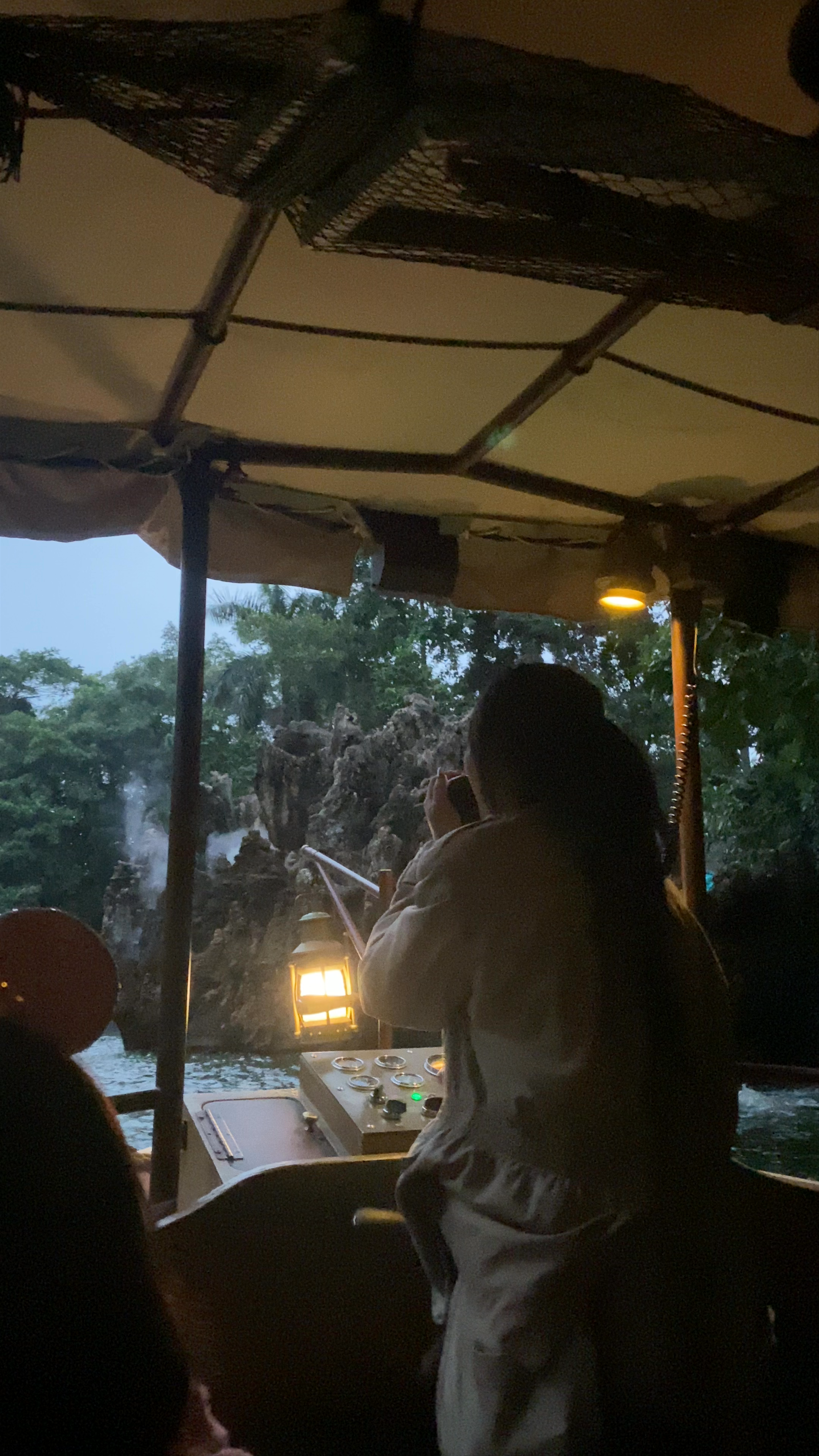 Jungle River Cruise