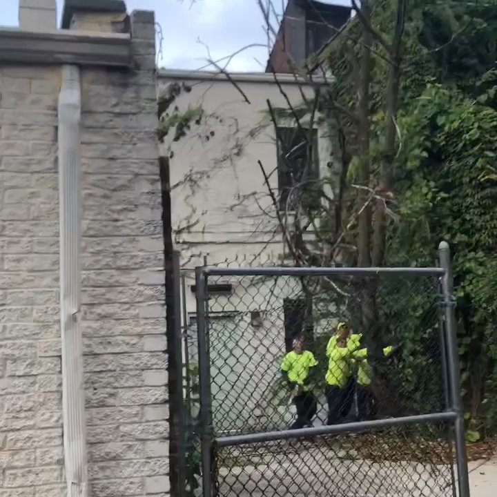Clearview Tree and Land Corp - Let's take down that old dead tree! - Tree Services Near Me