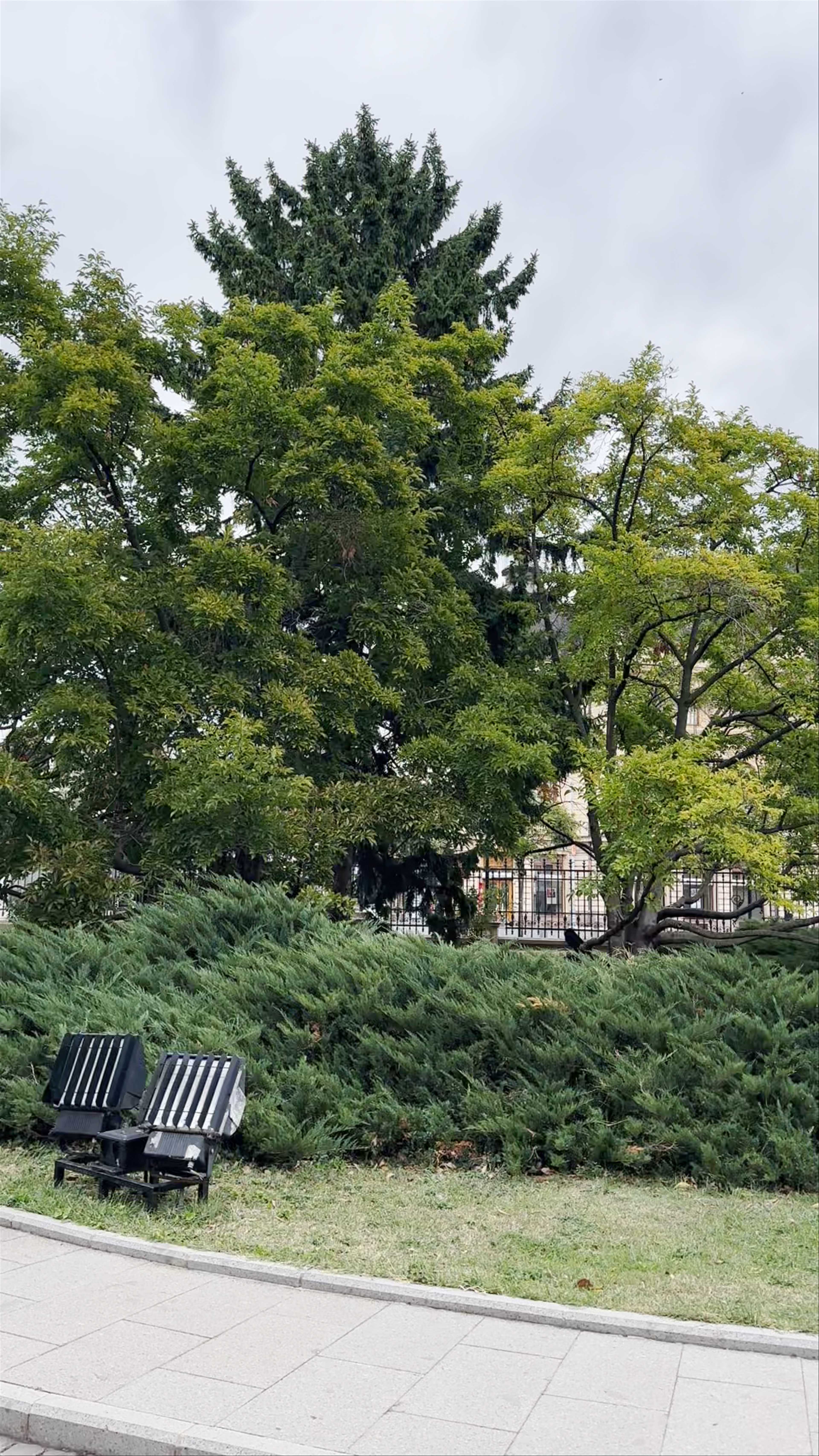 National Museum of Art