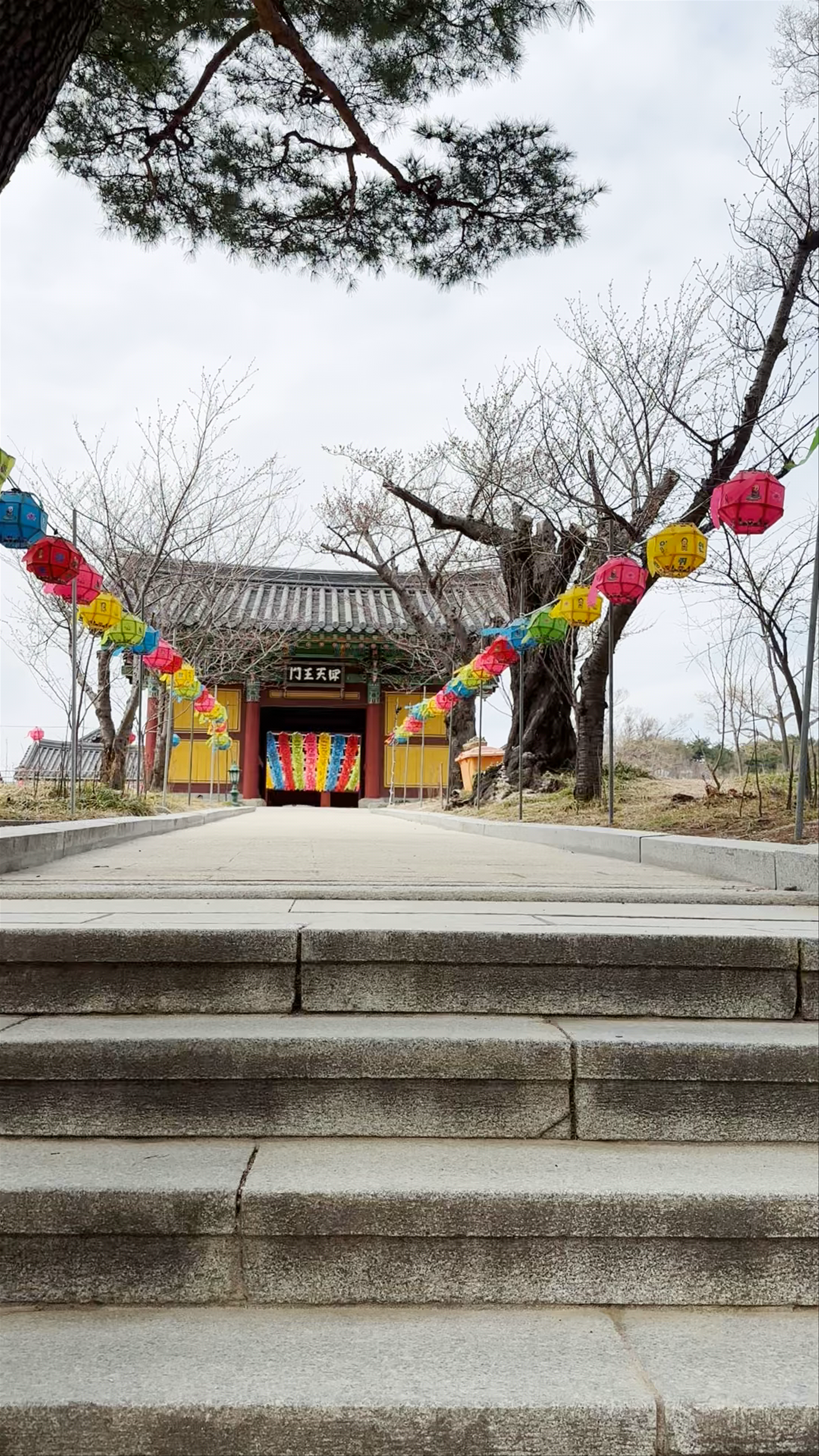 Serene Spring Walk at 의상기념관, Yangyang, South Korea