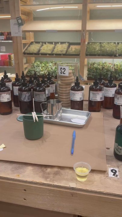 PlantHouse - Overall setup of DIY candle making - Nurseries & Gardening Near Me - Alexandria, Virginia