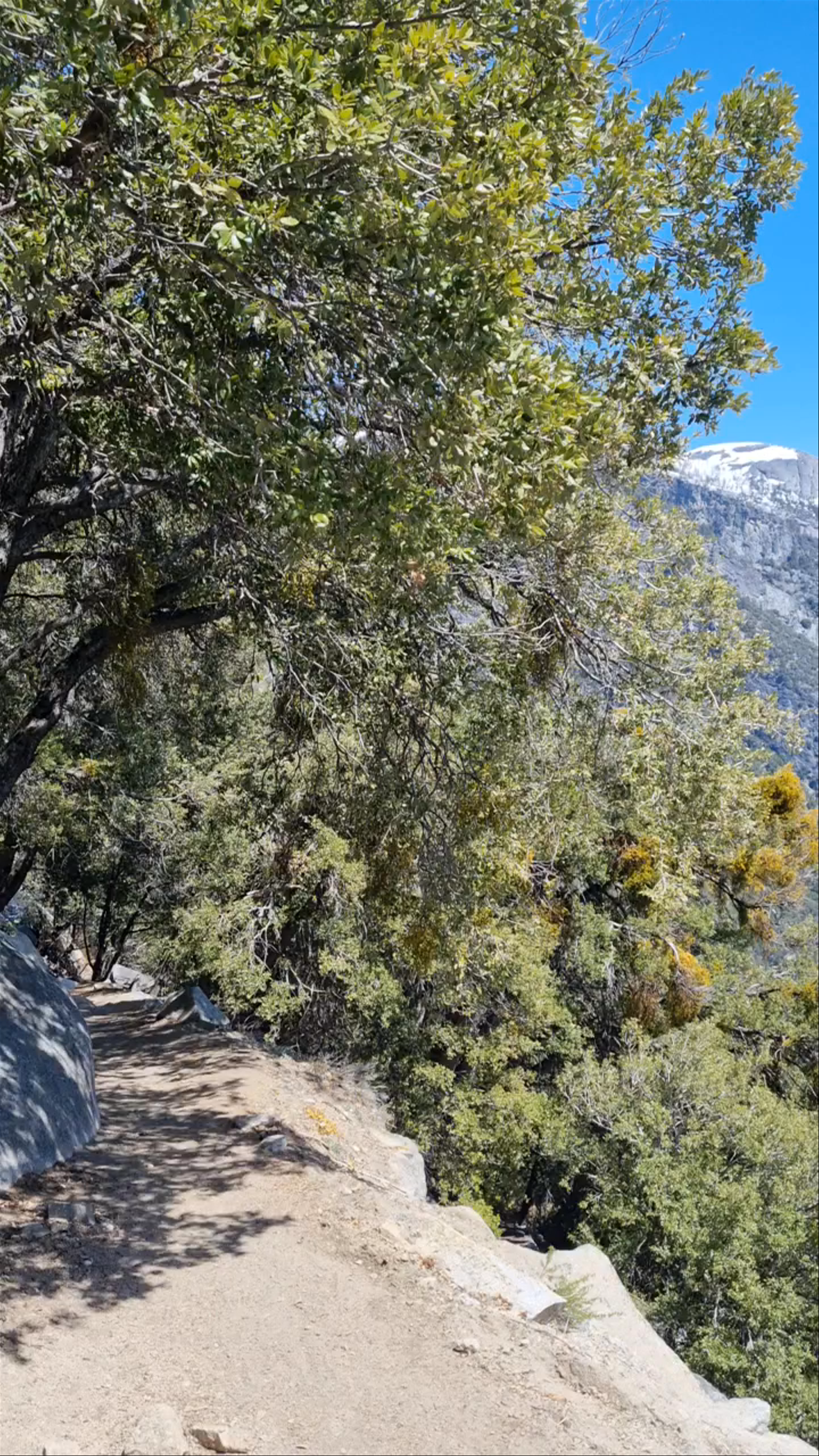 Upper Yosemite Falls Trail