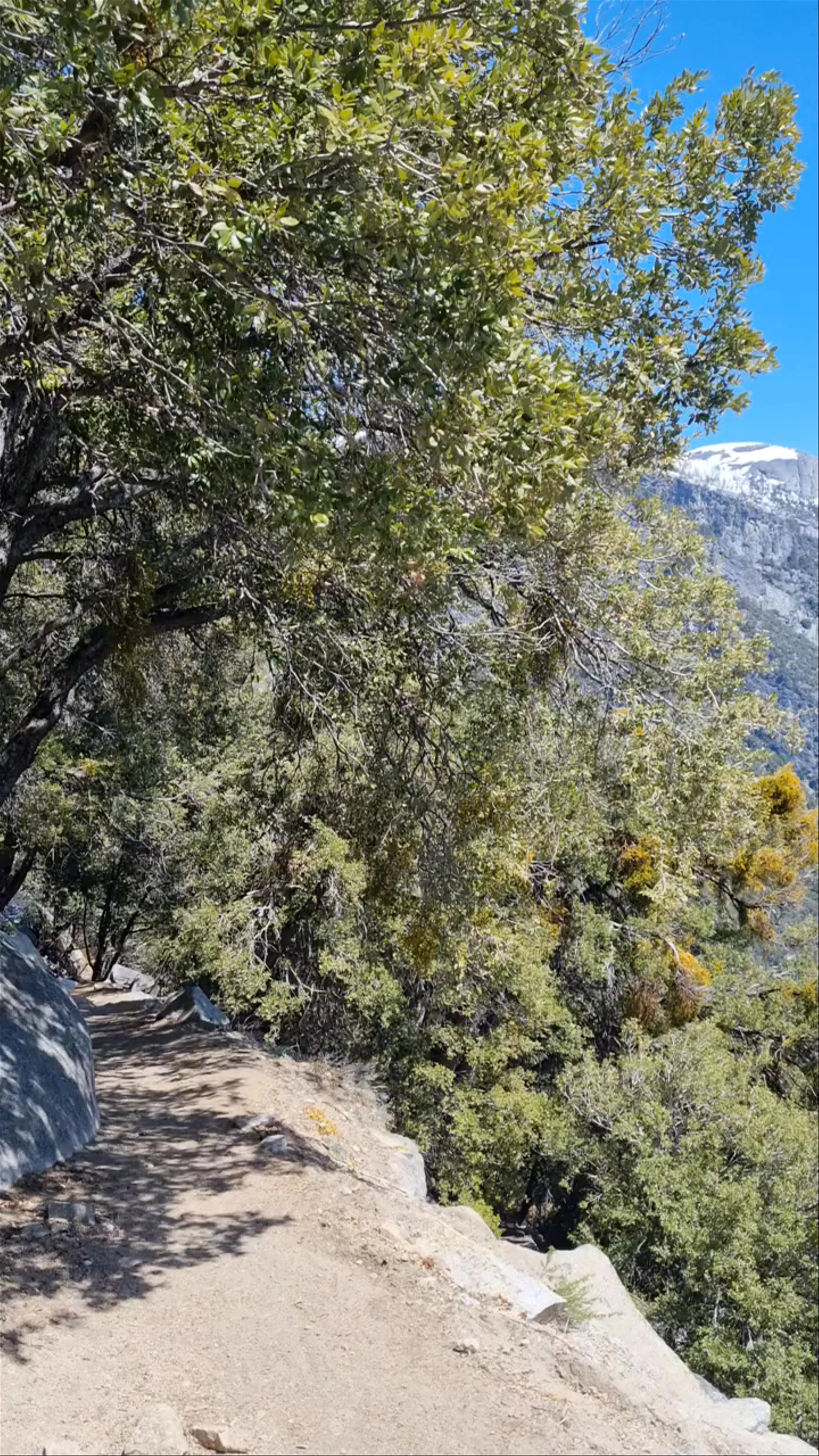 Upper Yosemite Falls Trail