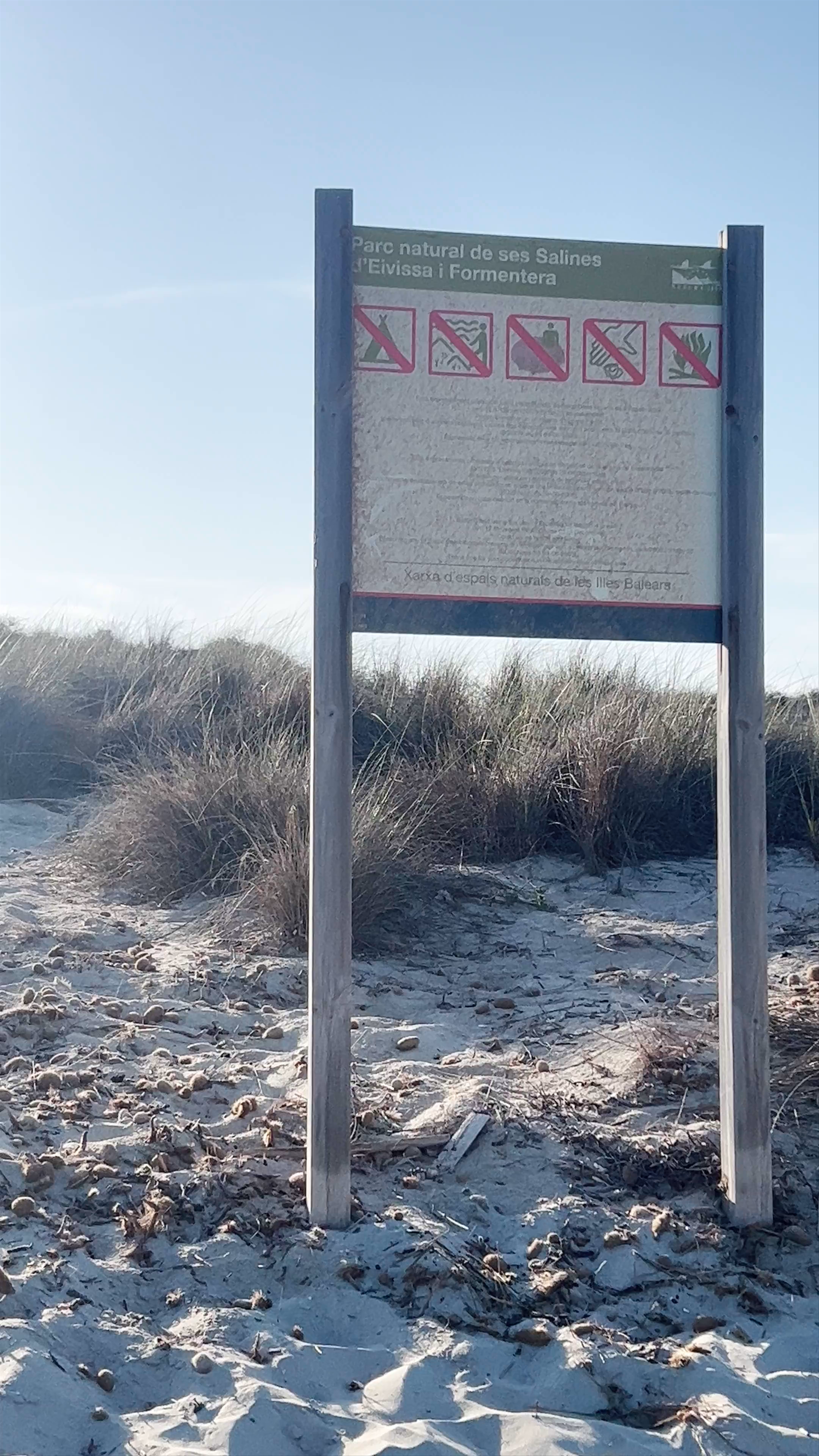 Tranquil Beach Escape at Playa de S'Alga, Spain
