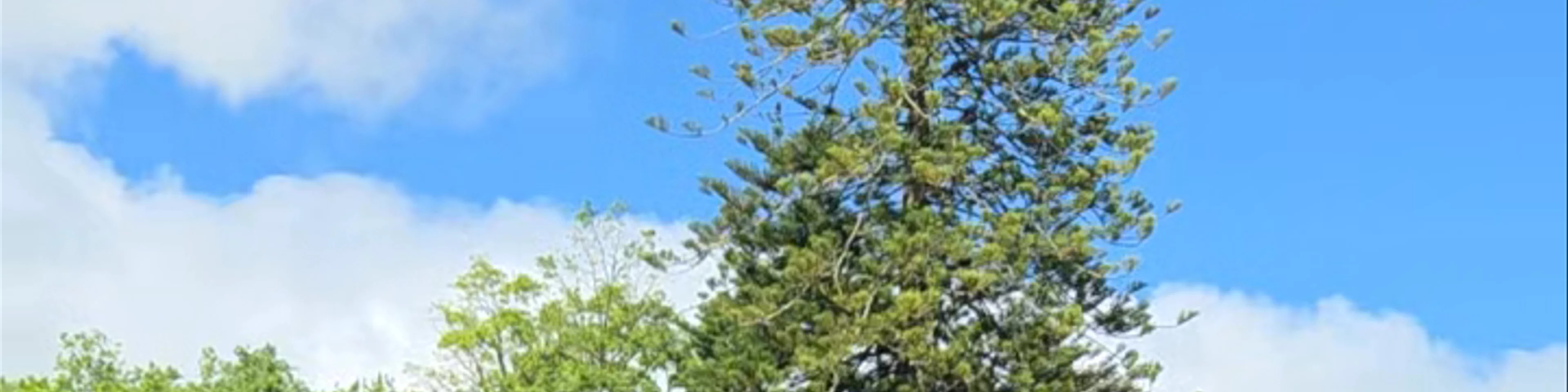 Terra-Nostra-Park