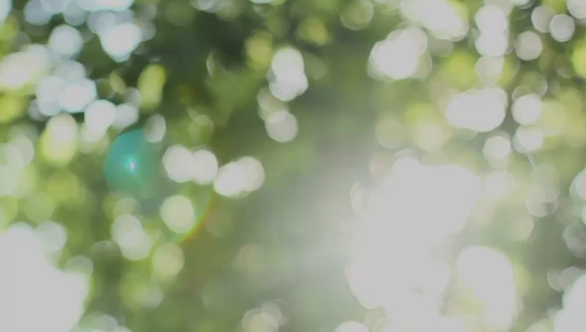 5 Bed Condo for Sale in  Watten House - Image 11