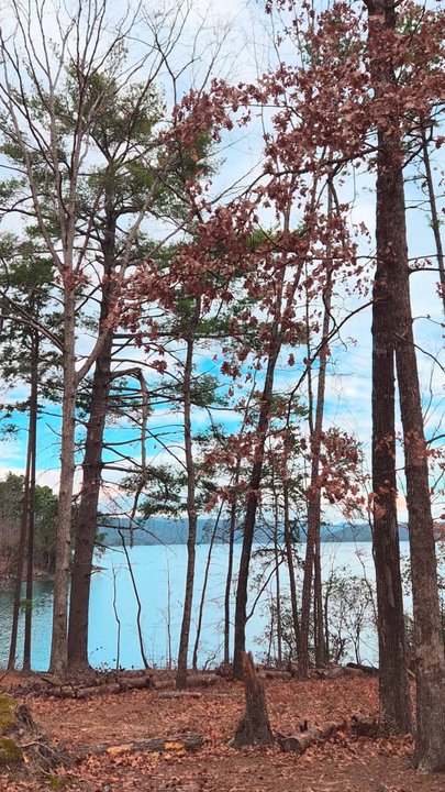 Devil's Fork State Park - Parks Near Me - Salem, South Carolina