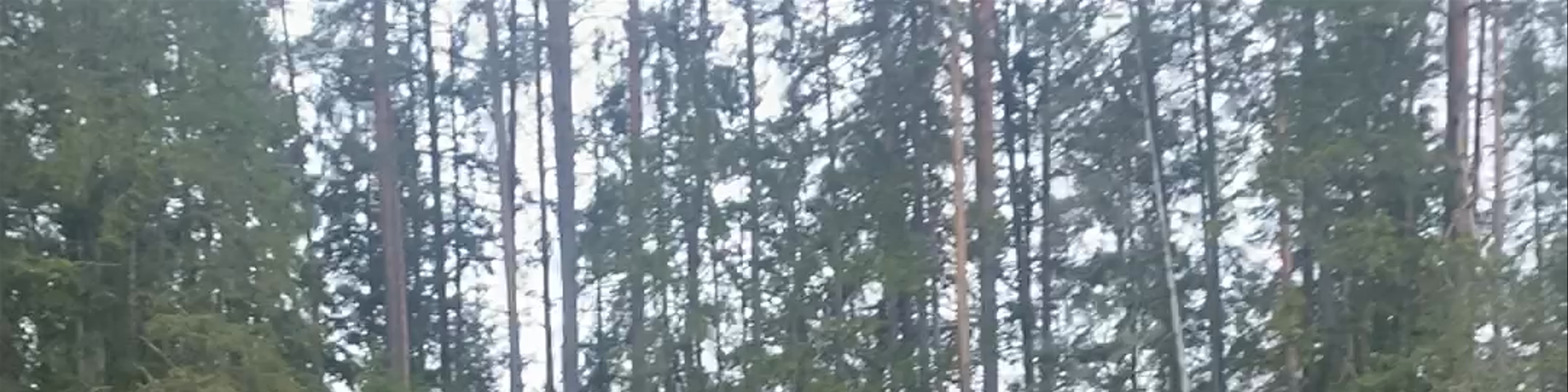 Jūrmala
