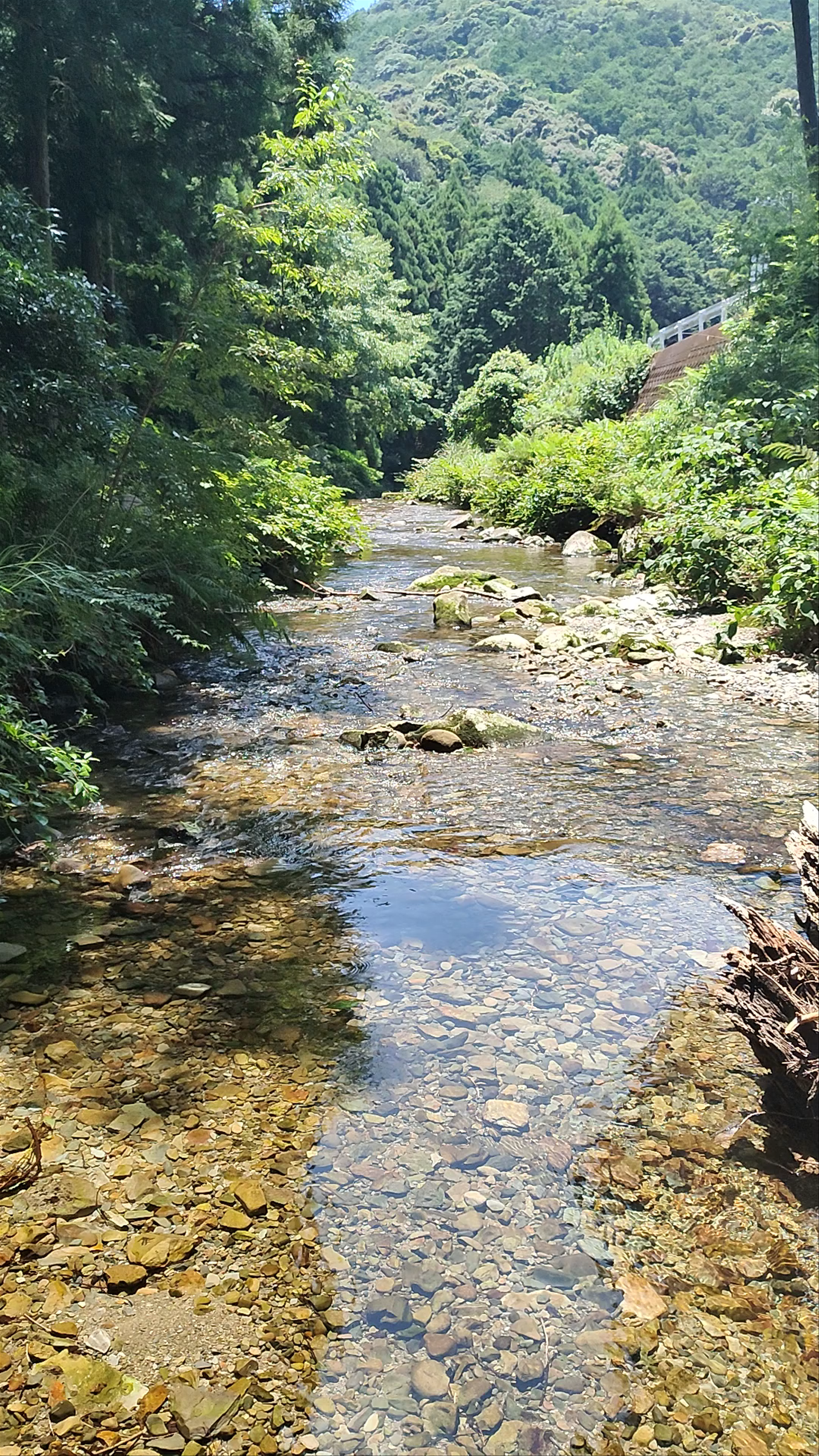 Kumano-Kodo Nakahechi Pilgrimage Route: Serenity on the Sacred Path