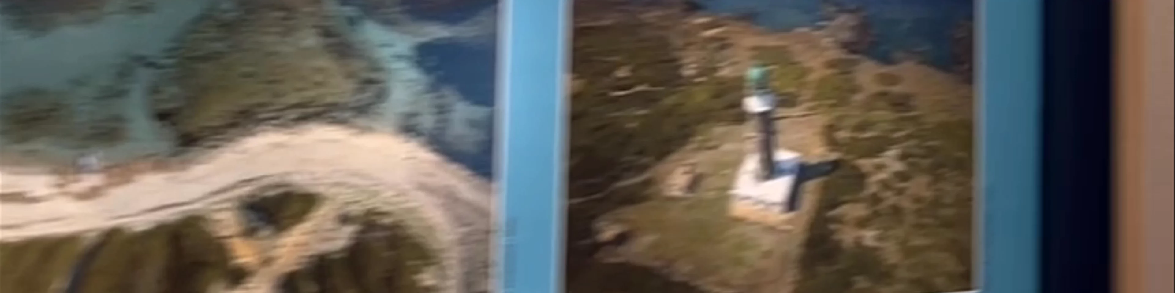 MOm - Κέντρο Ενημέρωσης για τη Μεσογειακή Φώκια