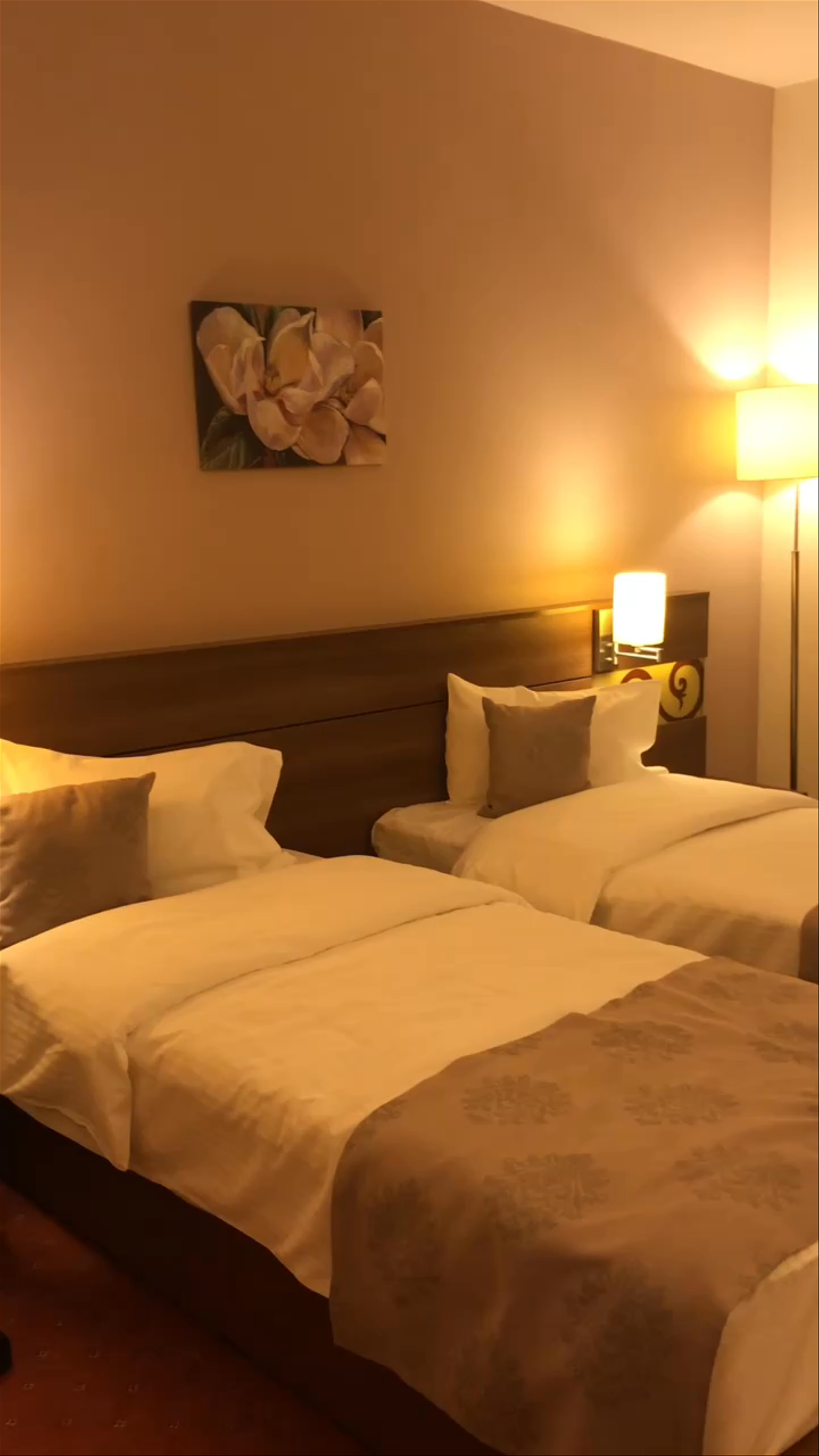 Cozy Stay at RIN Airport Hotel, Otopeni