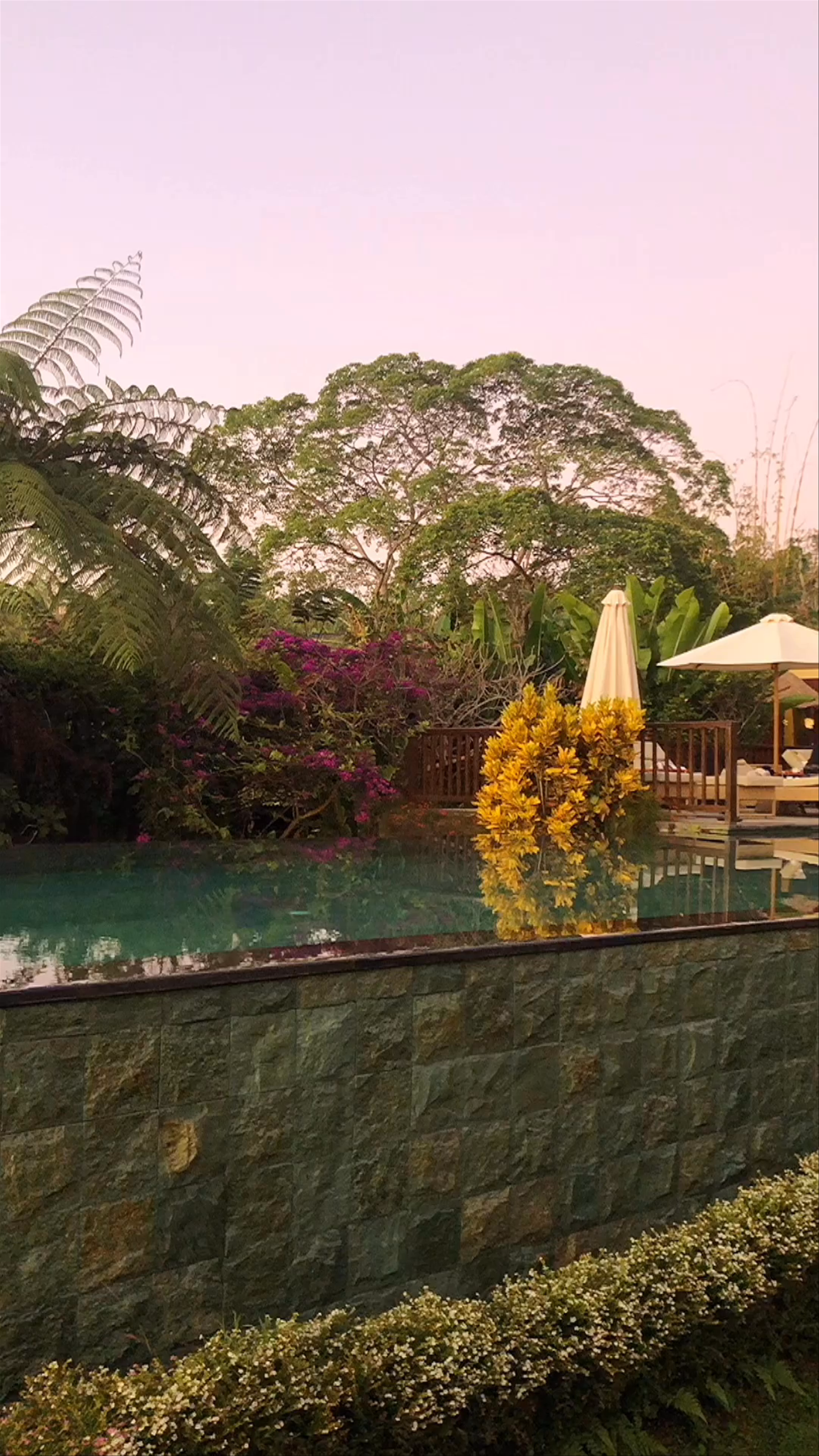 Munduk Moding Plantation Nature Resort & Spa: Tropical Tranquility in Bali