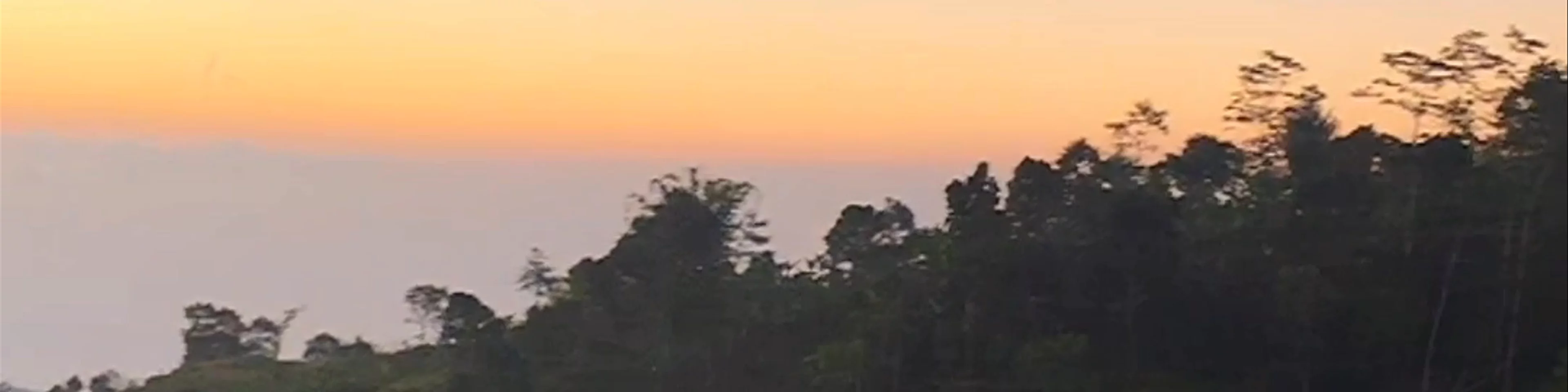 Munduk Moding Plantation Nature Resort & Spa