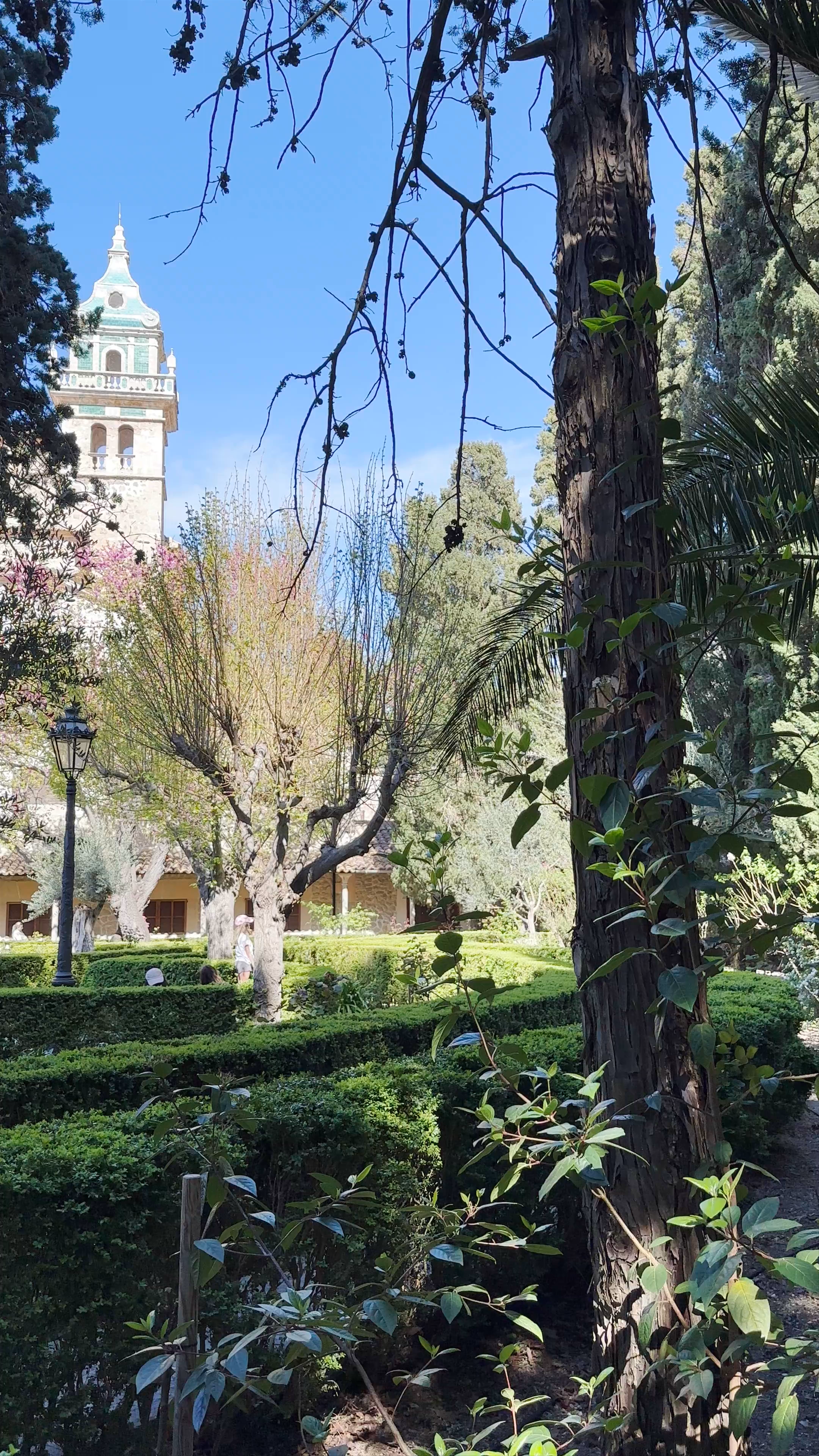 Jardines Rey Juan Carlos