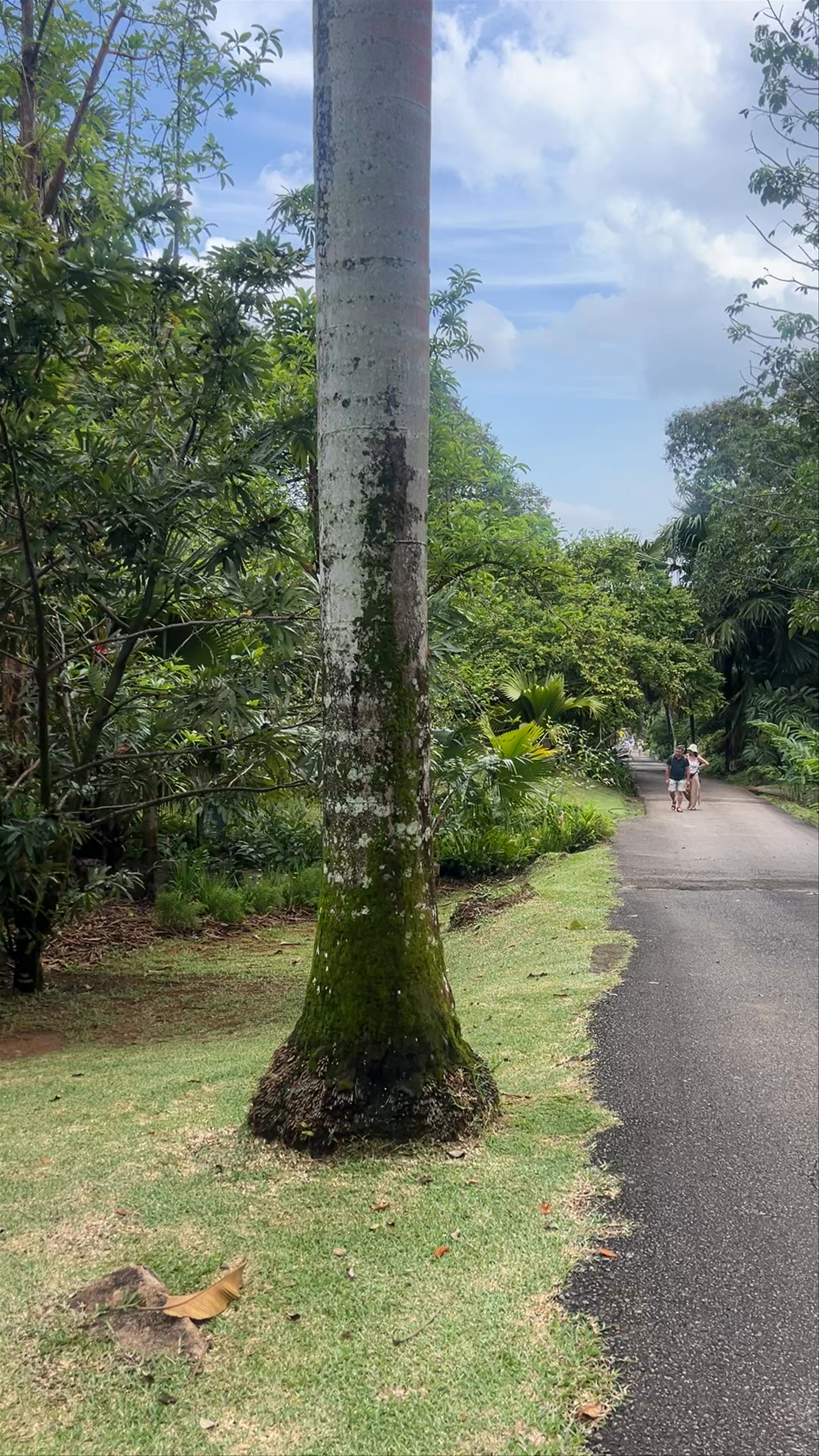 National Botanical Garden