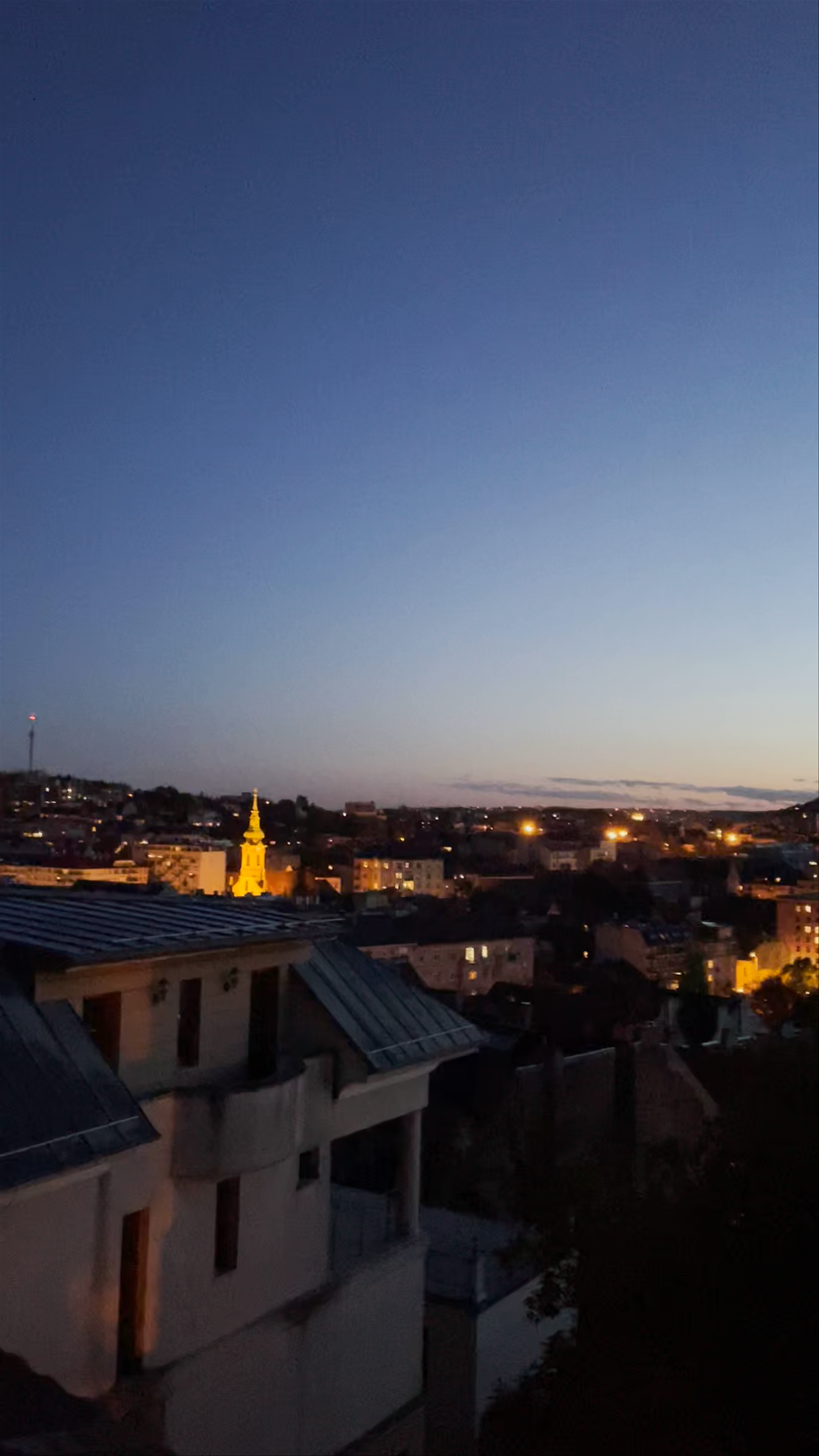Buda Castle