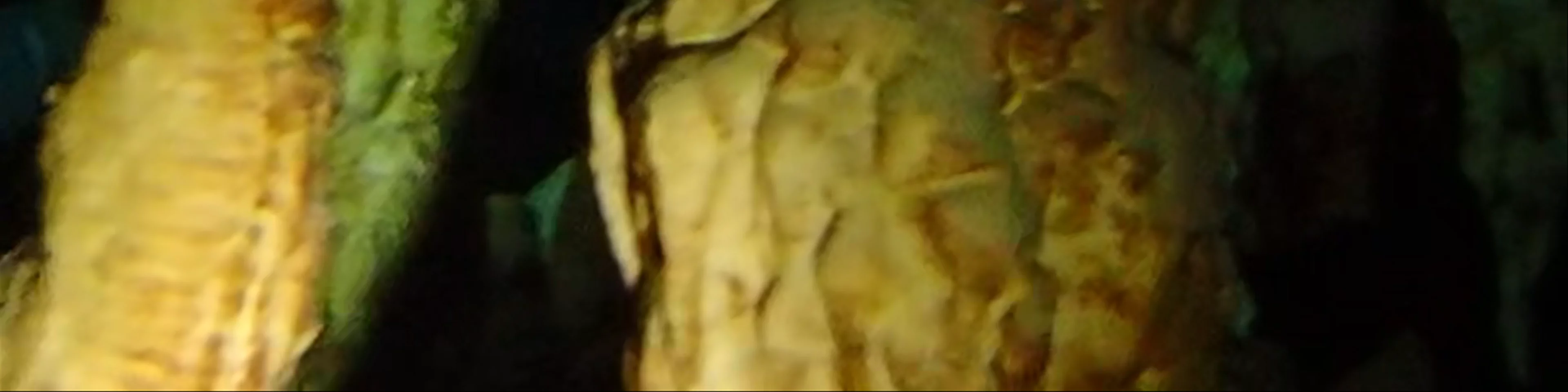 Cenote Taak Bi Ha