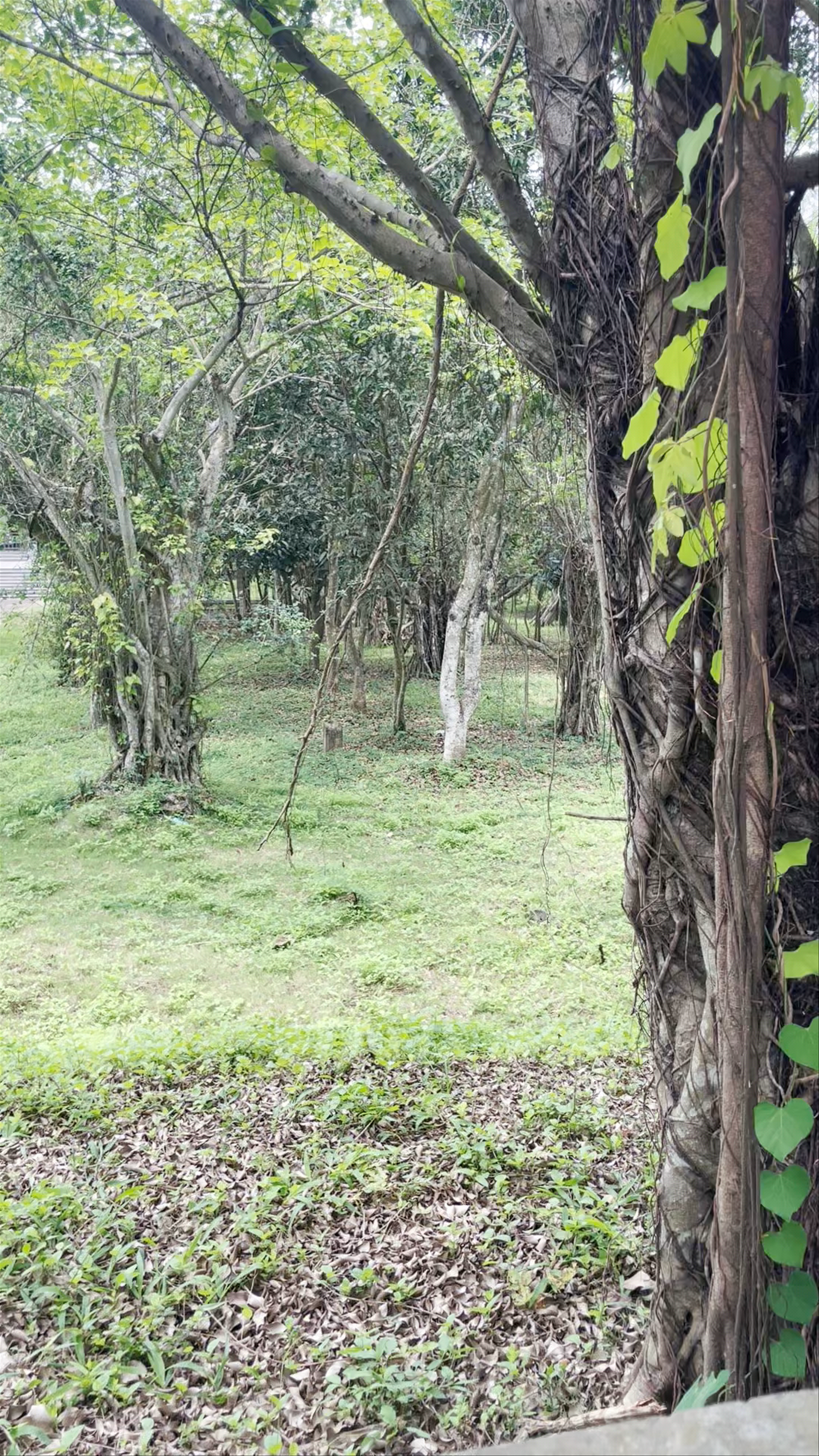 Điện Quan Âm