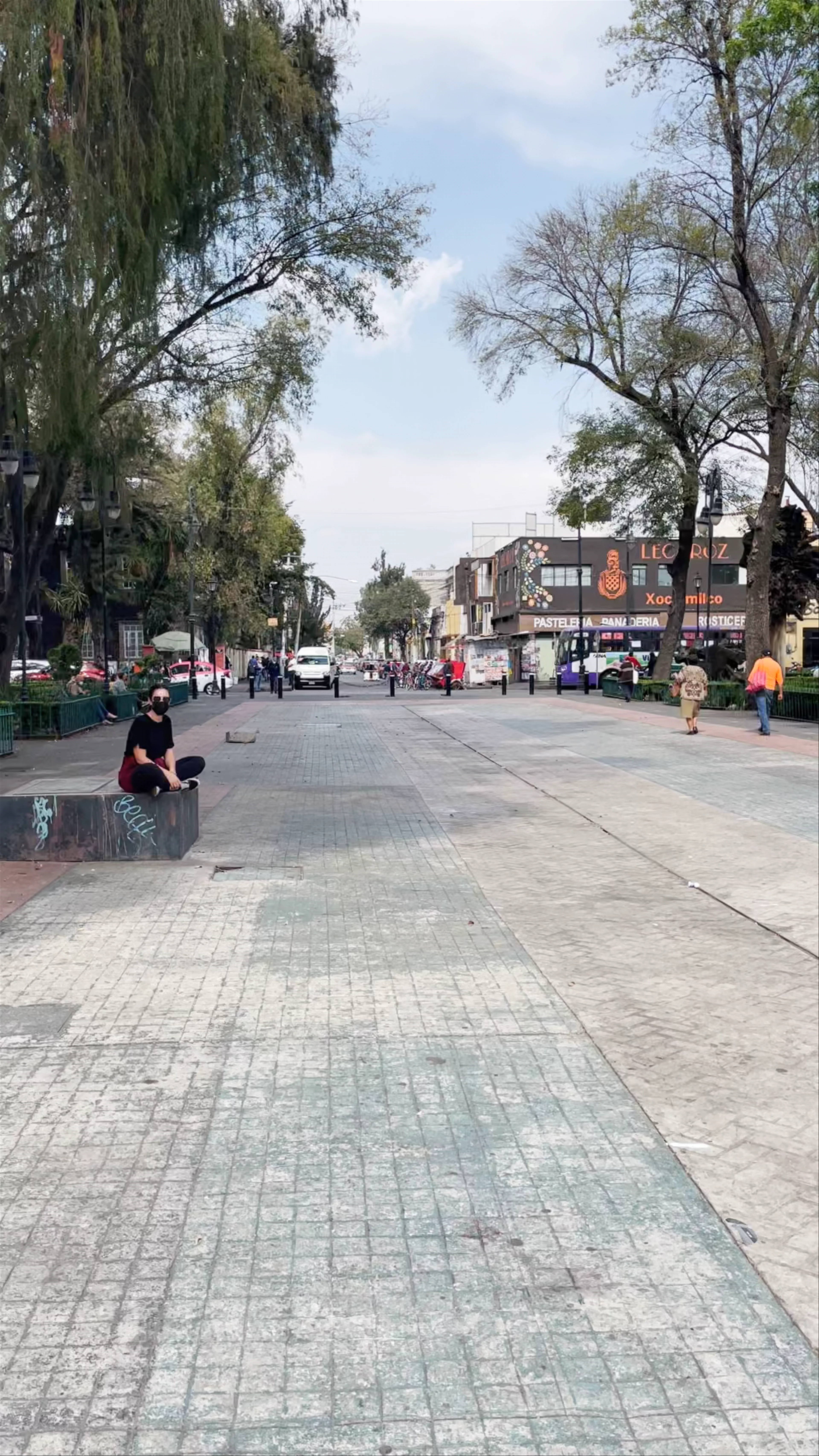 Xochimilco Centro, El Rosario, Mexico City, CDMX, Mexico