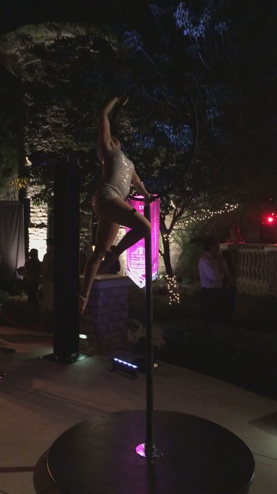 The Ashley Castle - Fun night at the Dos Equis Auction - Venues & Event Spaces Near Me - Chandler, Arizona