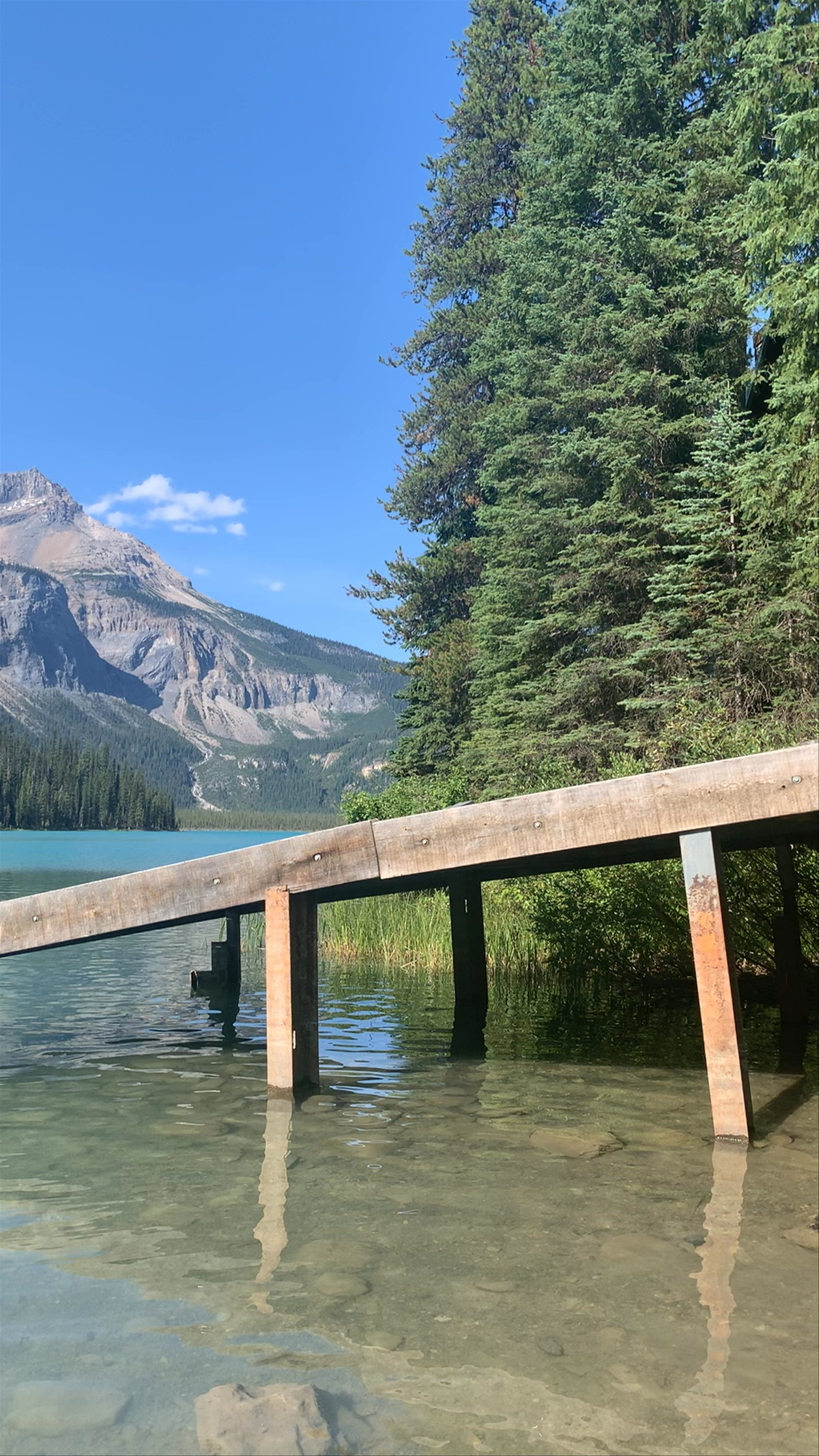 Emerald Lake Serenity: Stunning Lake and Mountain Views in British Columbia