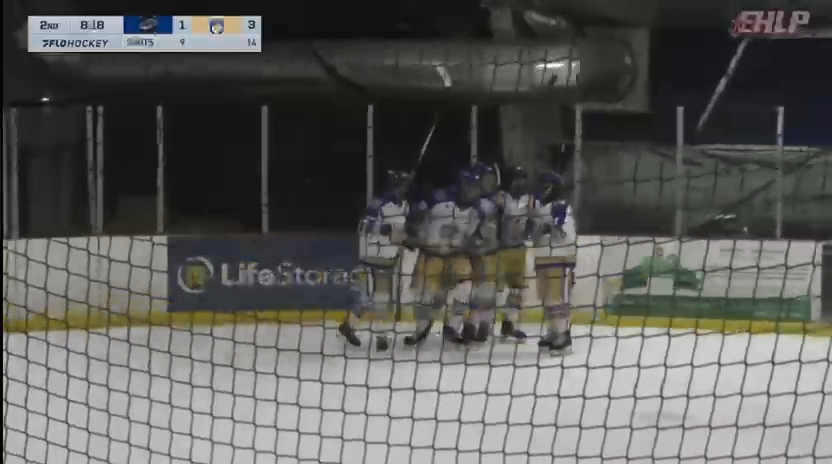 Tomass Vekselis: Highlight Reel of Impressive Goals with NJ 87's