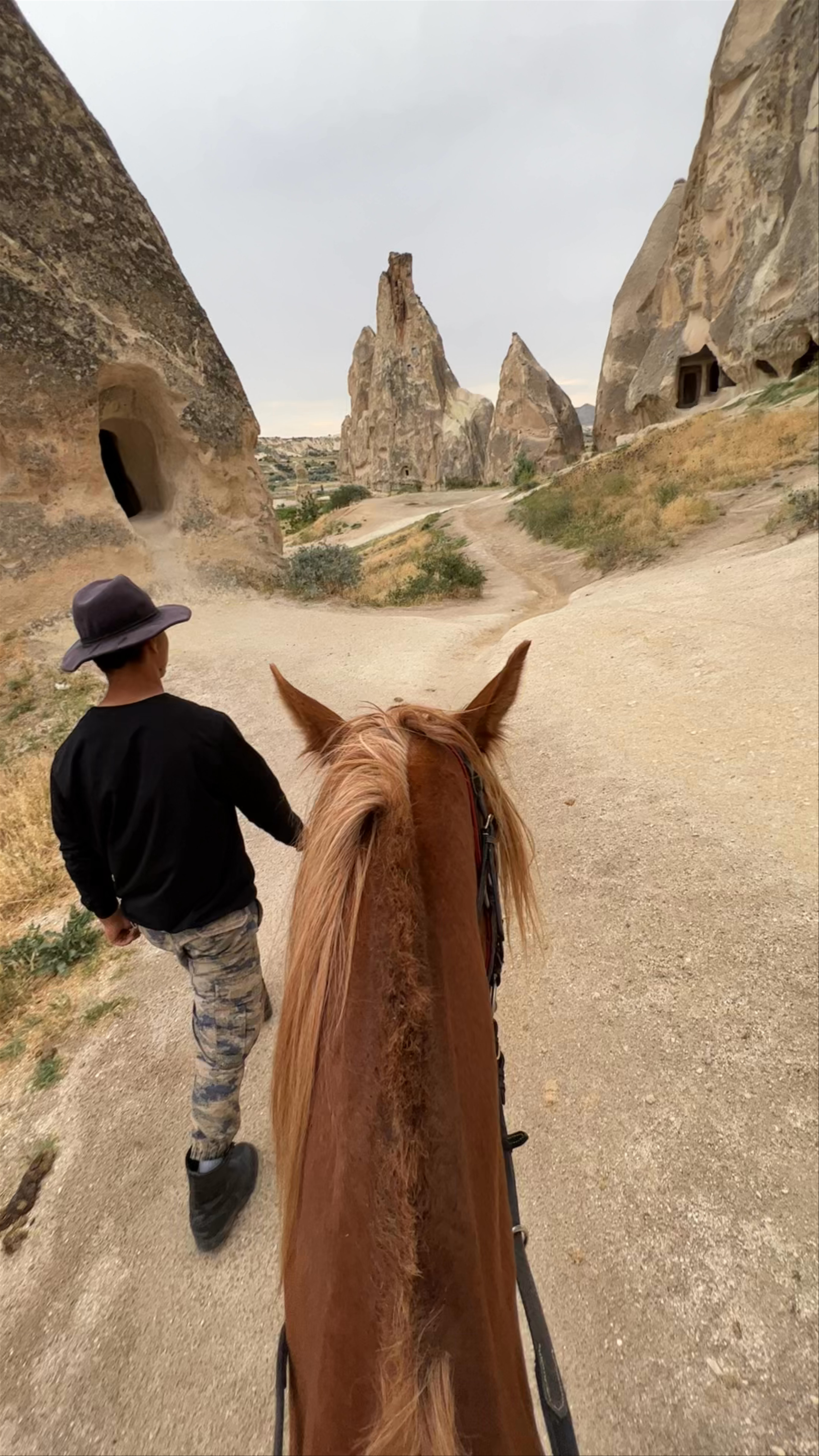 Akhal Teke Cappadocia Horse Riding