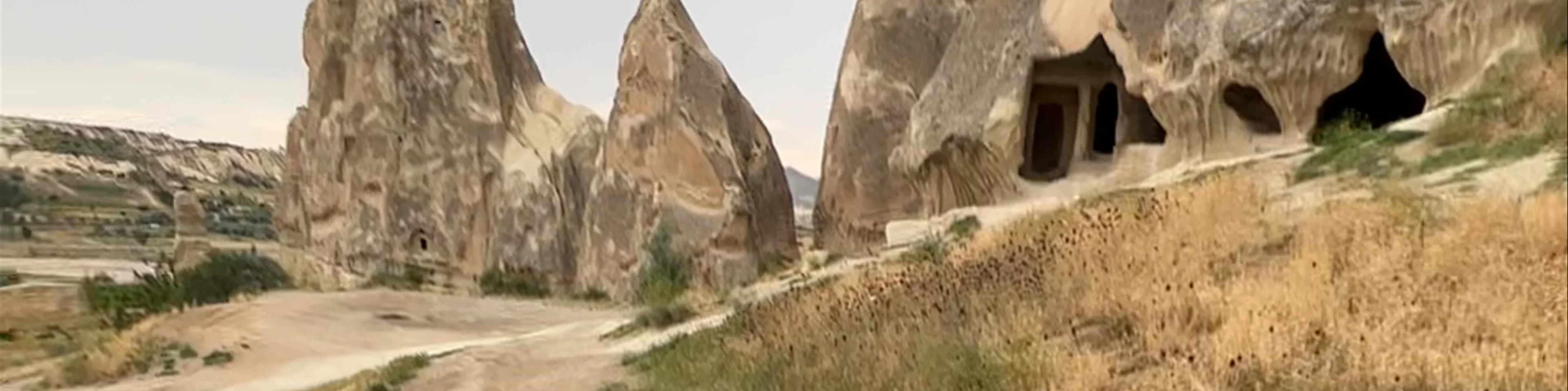Akhal Teke Cappadocia Horse Riding