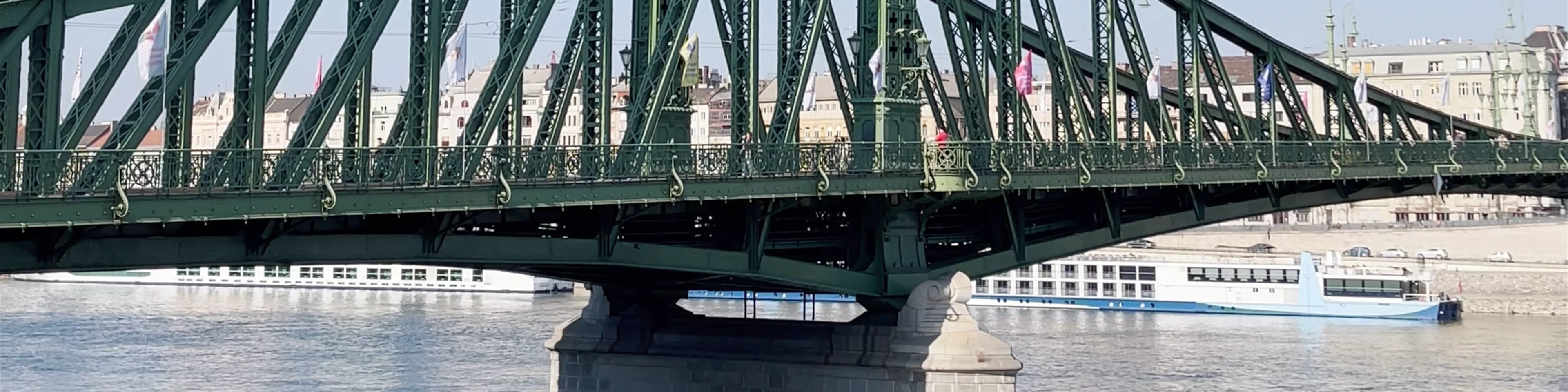 The Liberty bridge of Budapest
