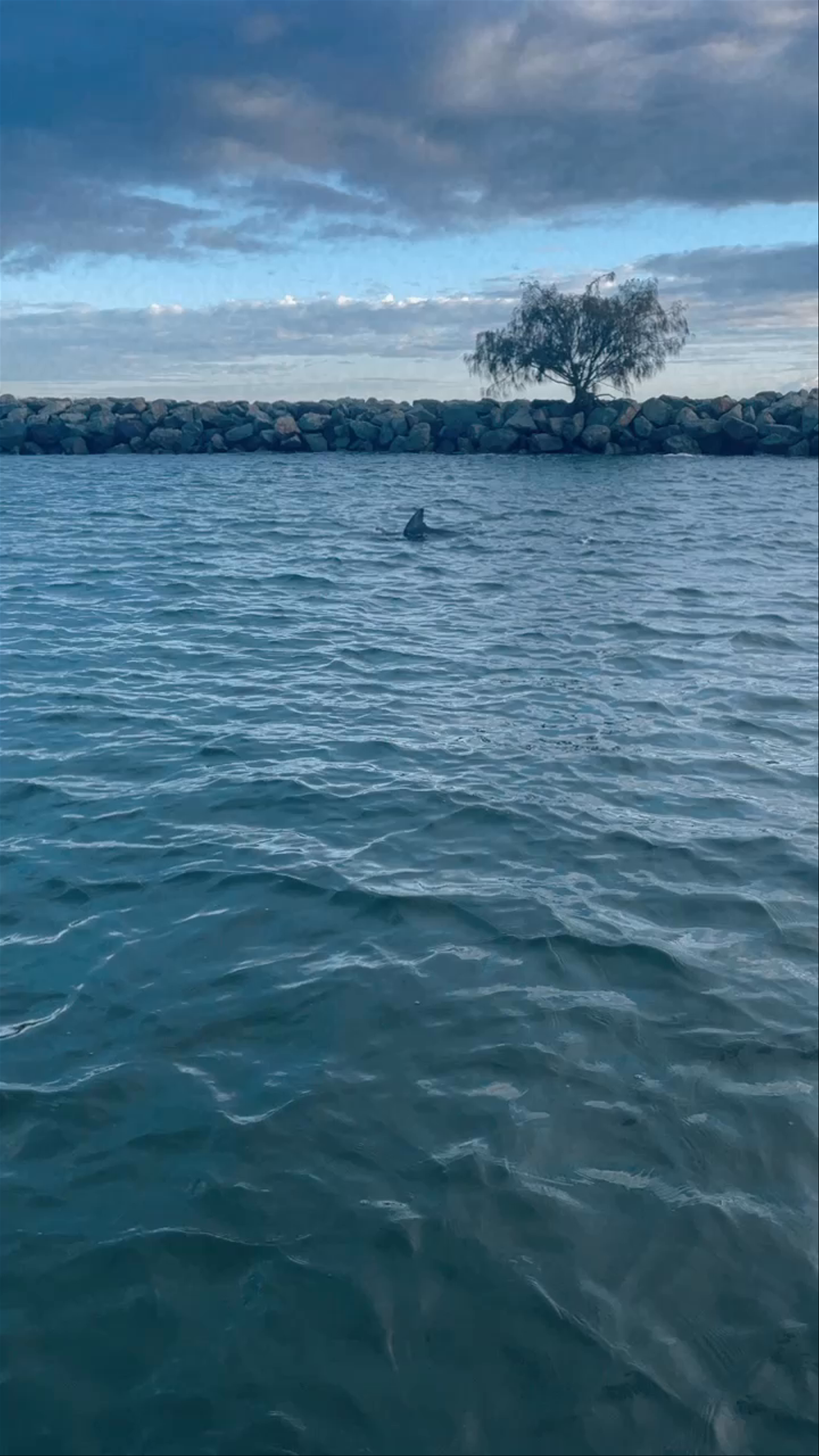 Wave Break Island