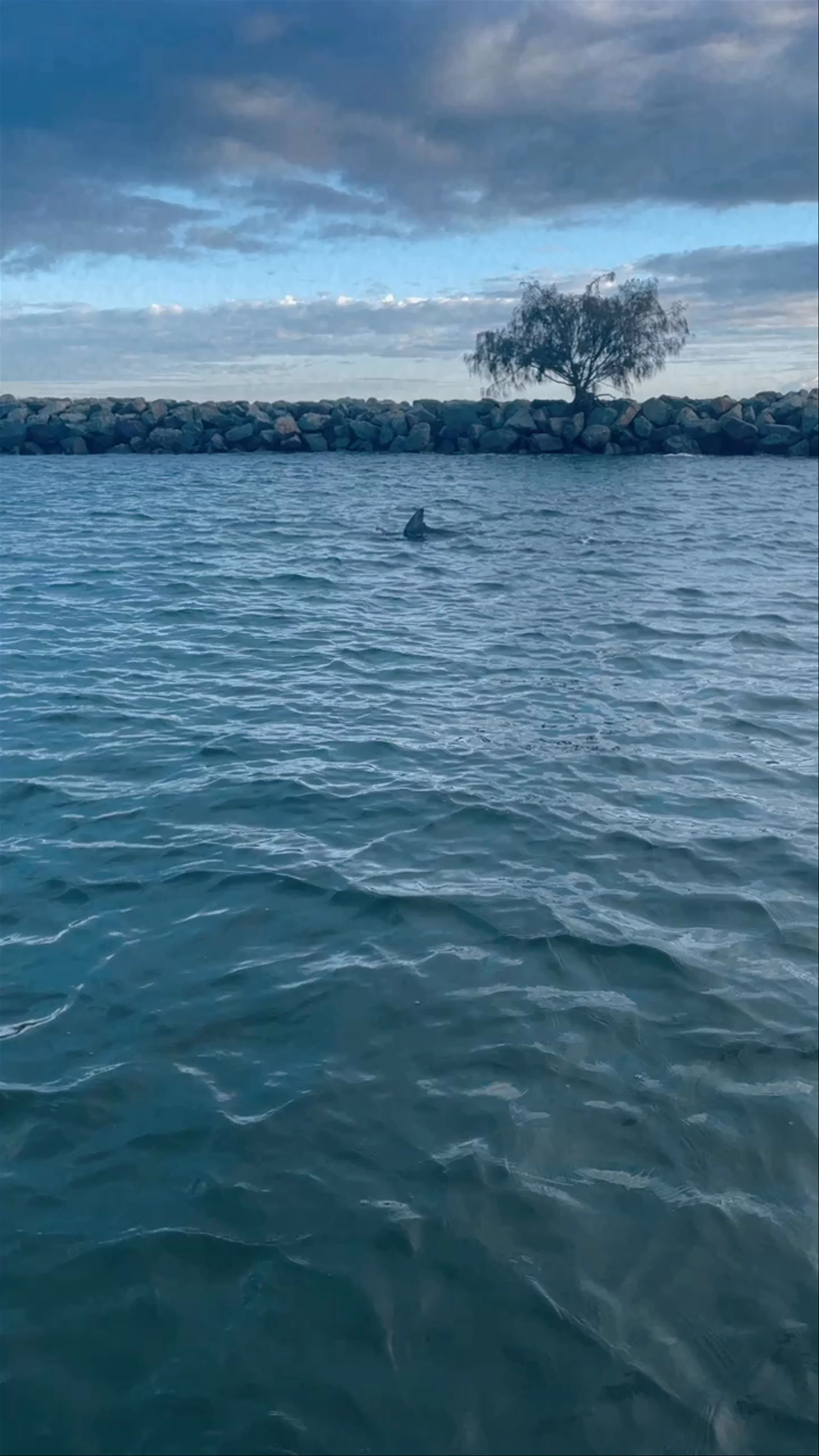 Wave Break Island
