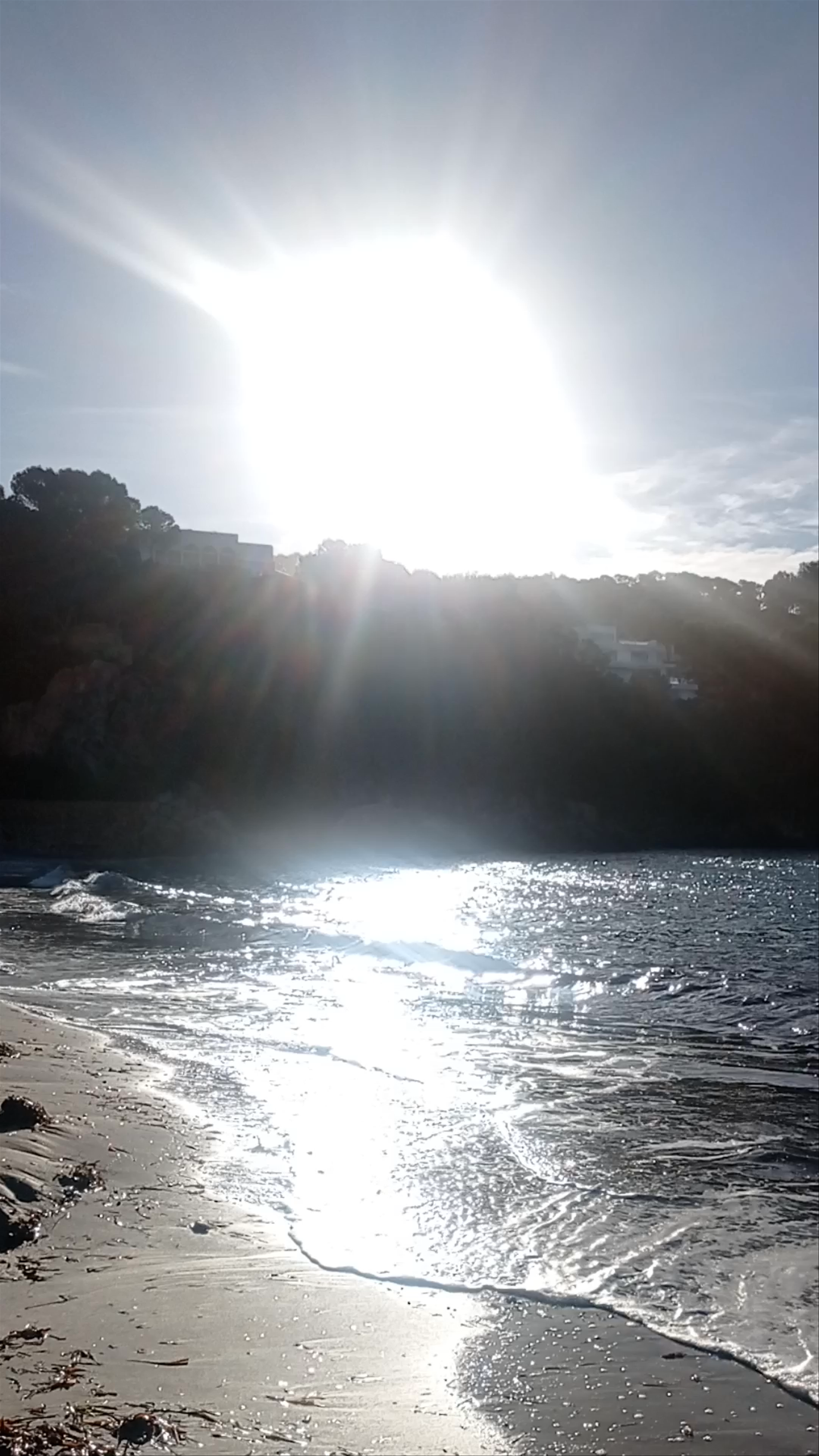 Restaurante Illeta by the Serene Shores of Camp de Mar, Mallorca
