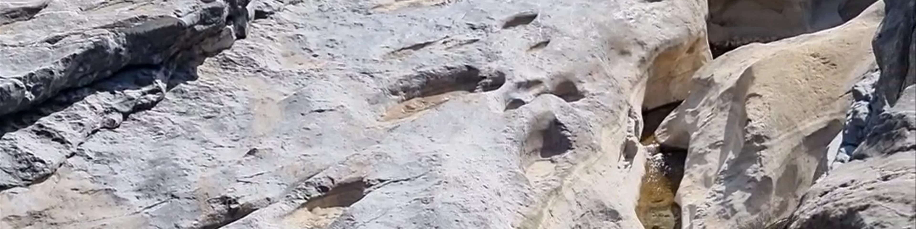 Wadi Damm Pools