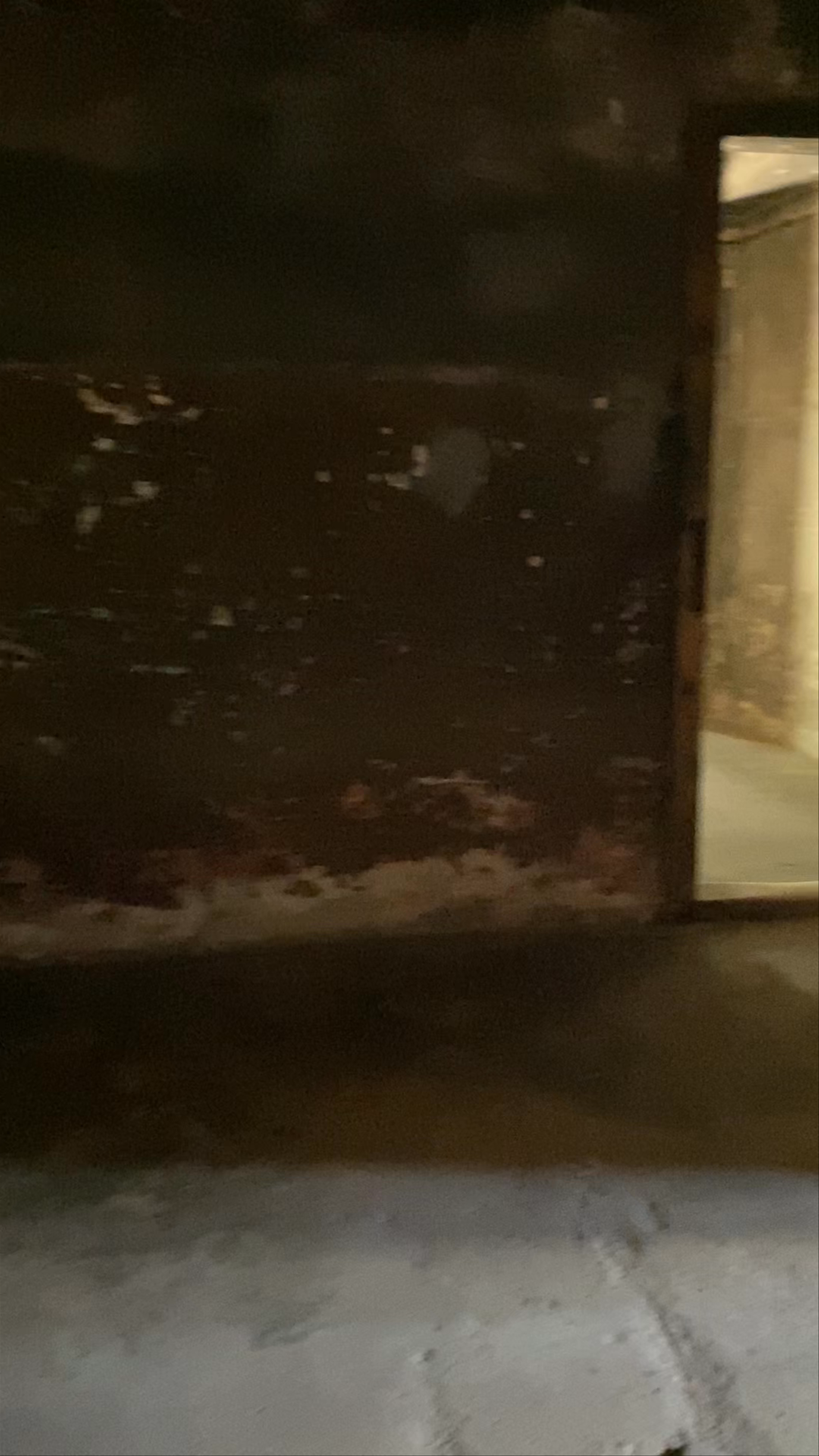 Auschwitz Tour from Krakow