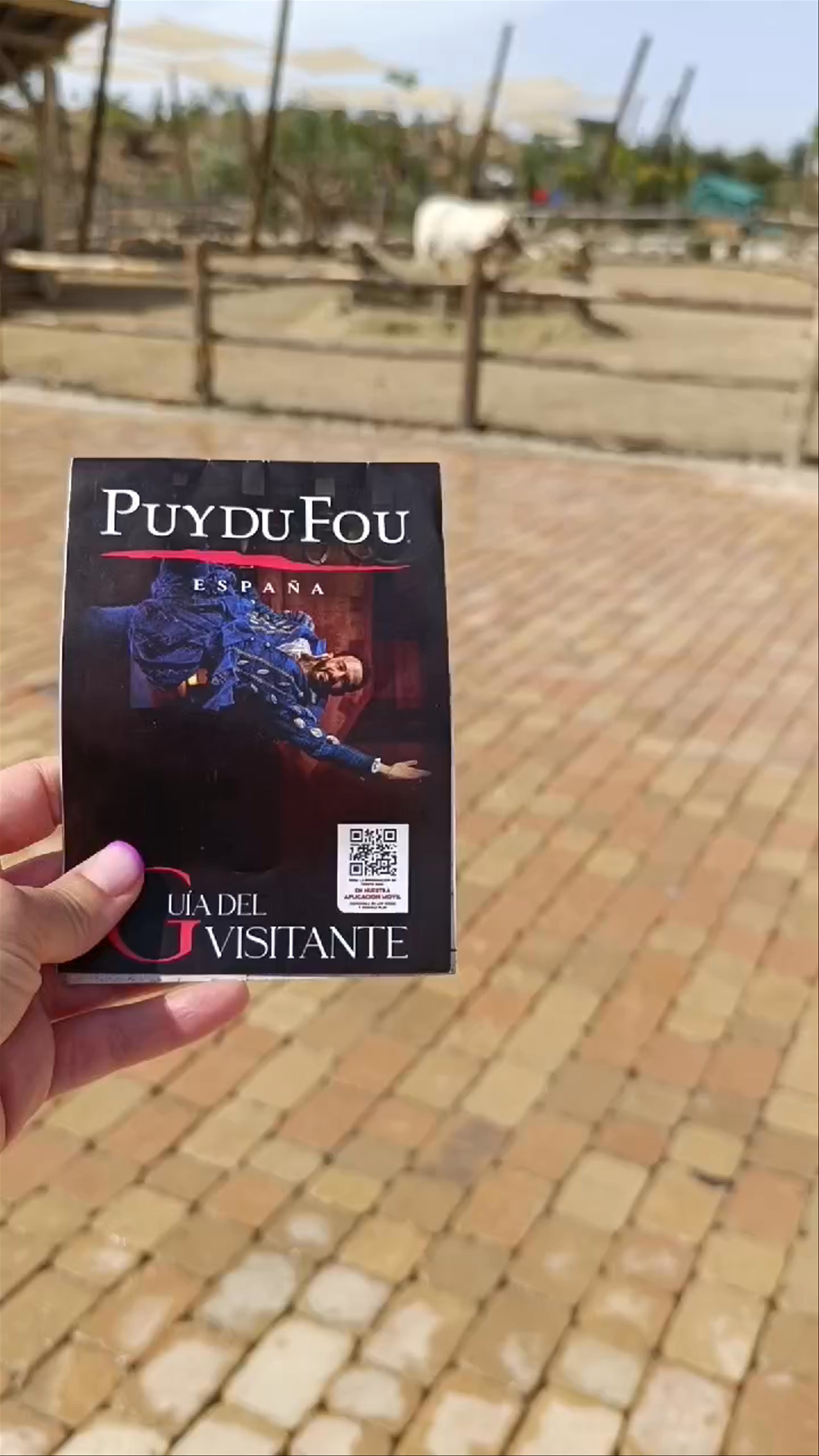 Puy du Fou España: Historical Spectacle & Natural Charm in Toledo