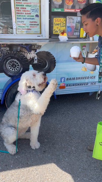 Baja Shaved Ice - Caterers Near Me