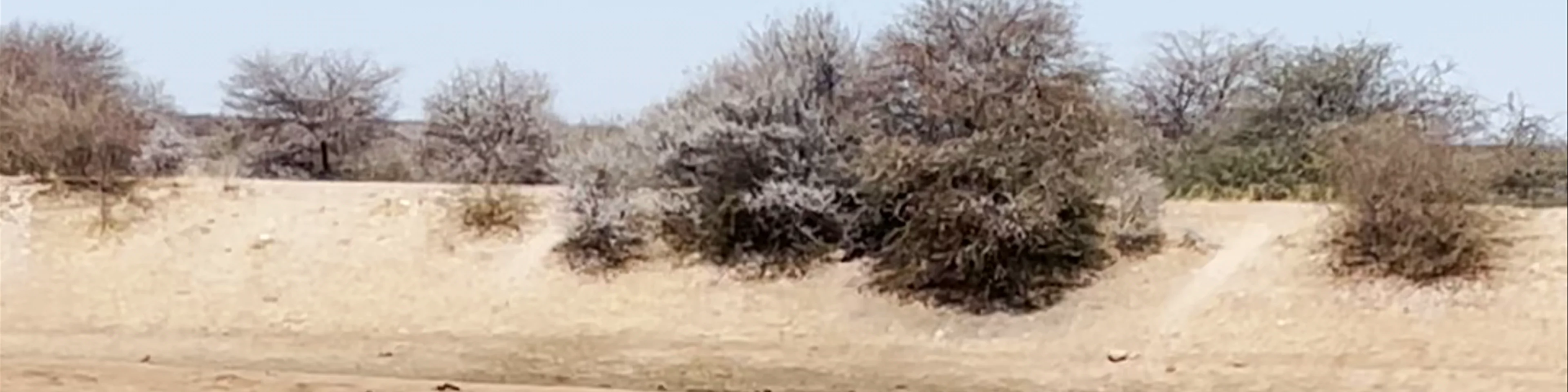 Erindi Private Game Reserve