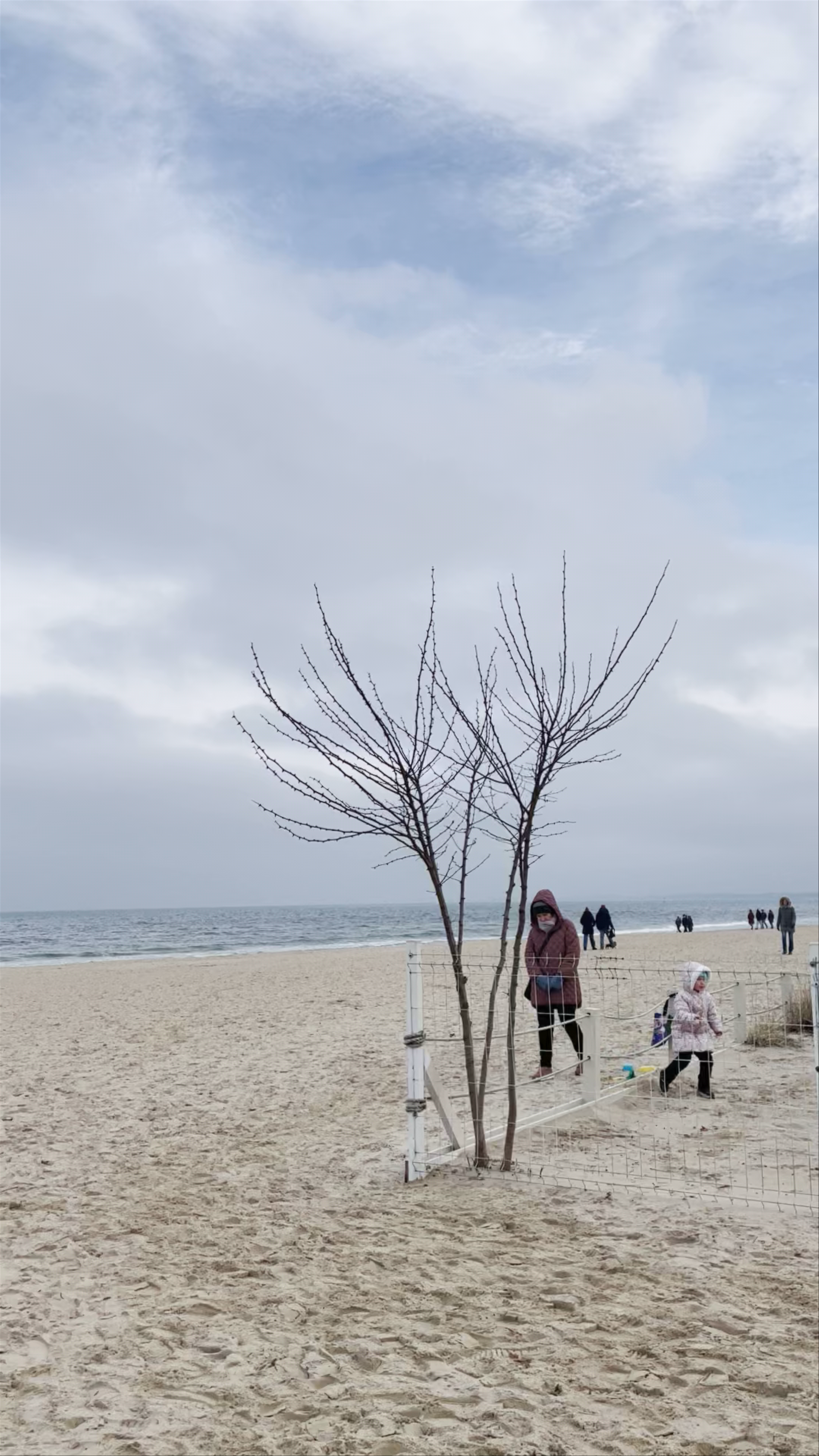 Sopot Beach Winter Walk: Moody Baltic Coast Stroll